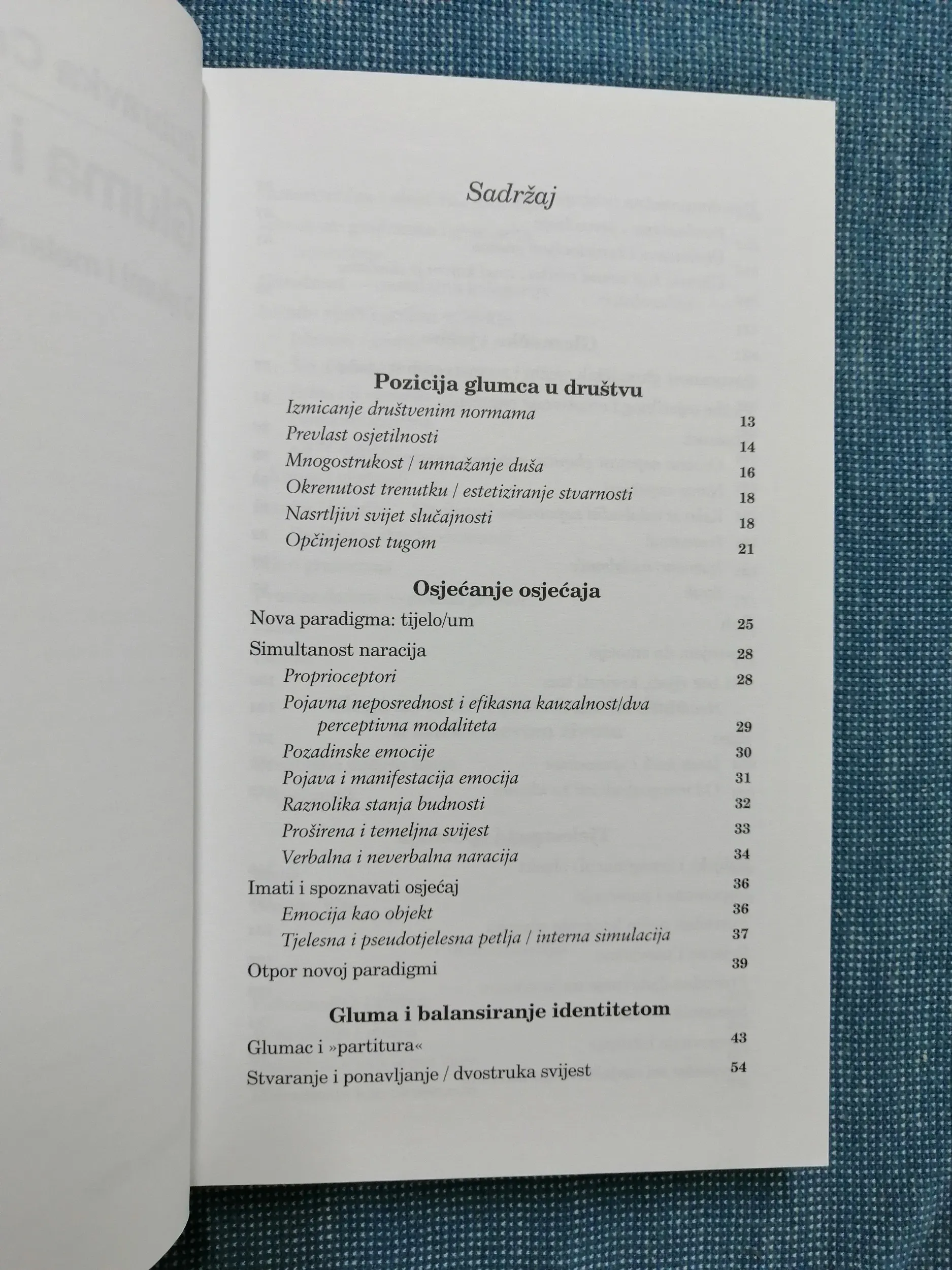 dubravka crnojević-carić – gluma i identitet - slika 2