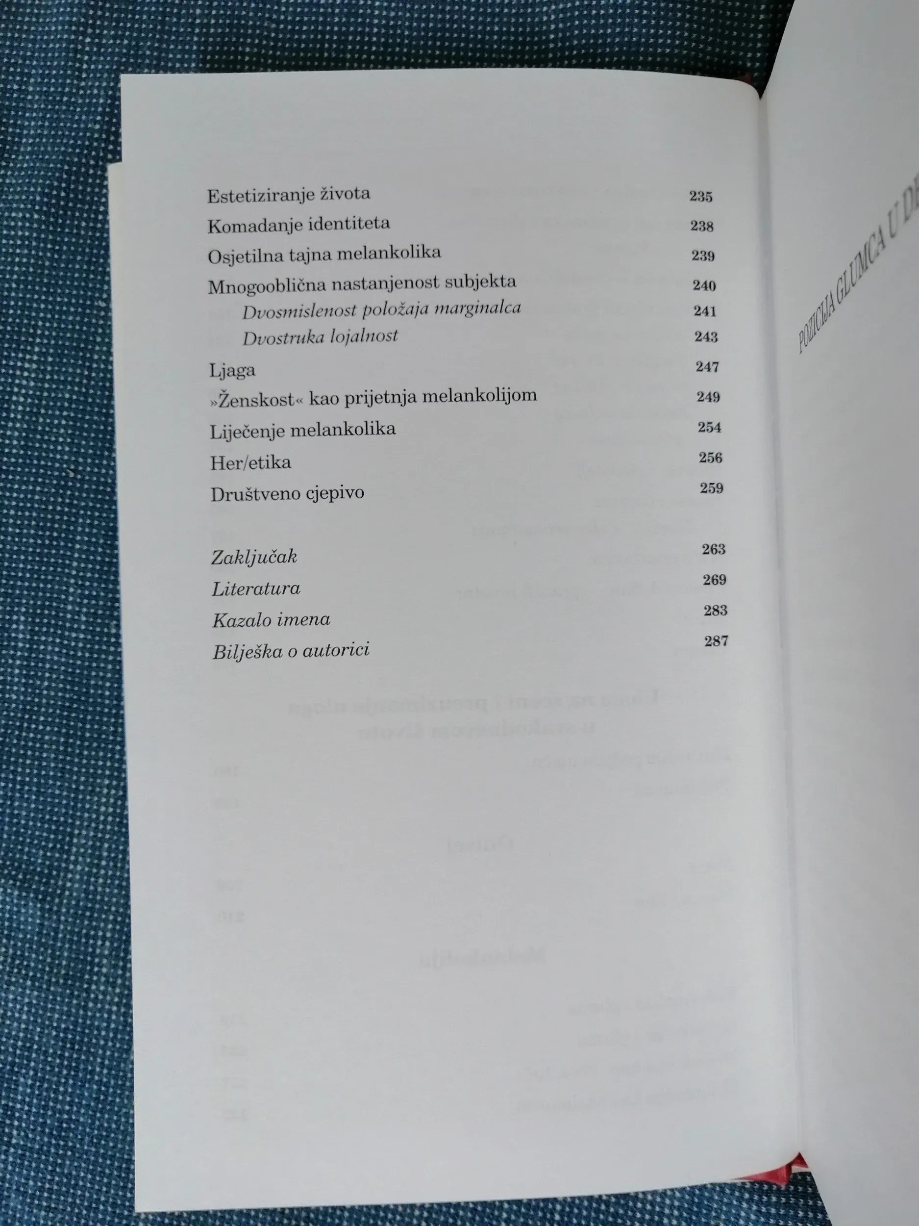 dubravka crnojević-carić – gluma i identitet - slika 4