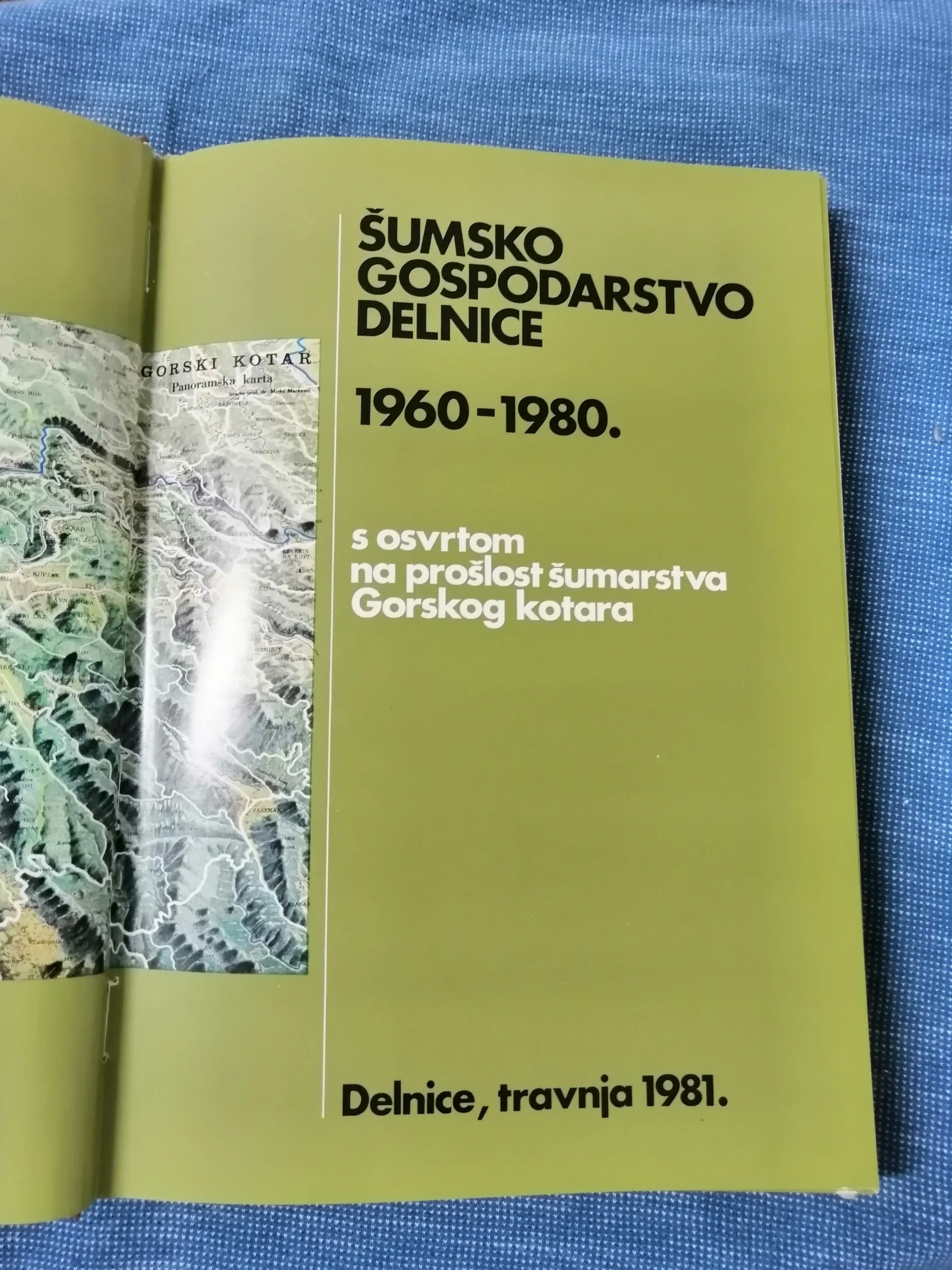 šumsko gospodarstvo delnice 1960-1980. - slika 2