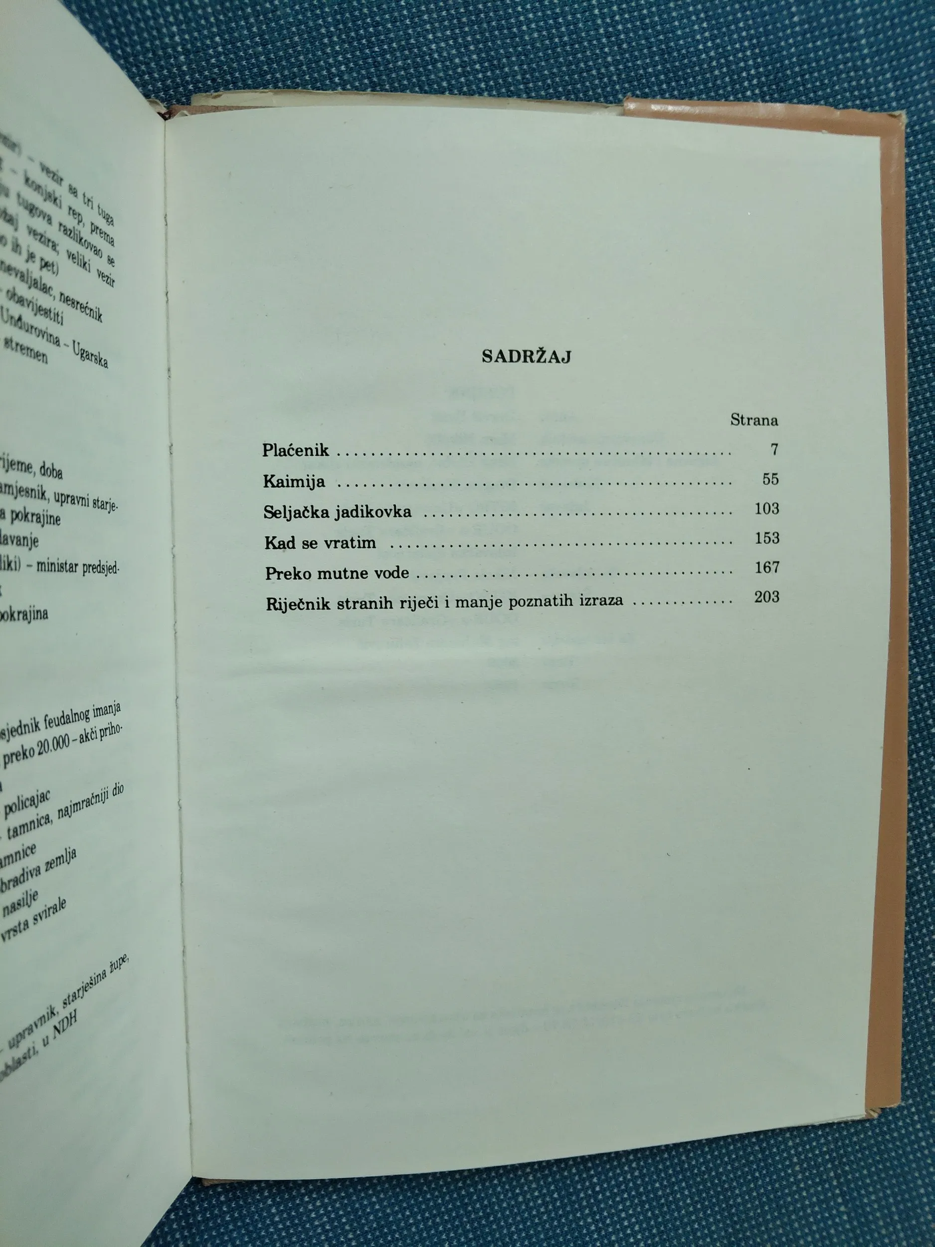 derviš sušić – pobune - slika 3