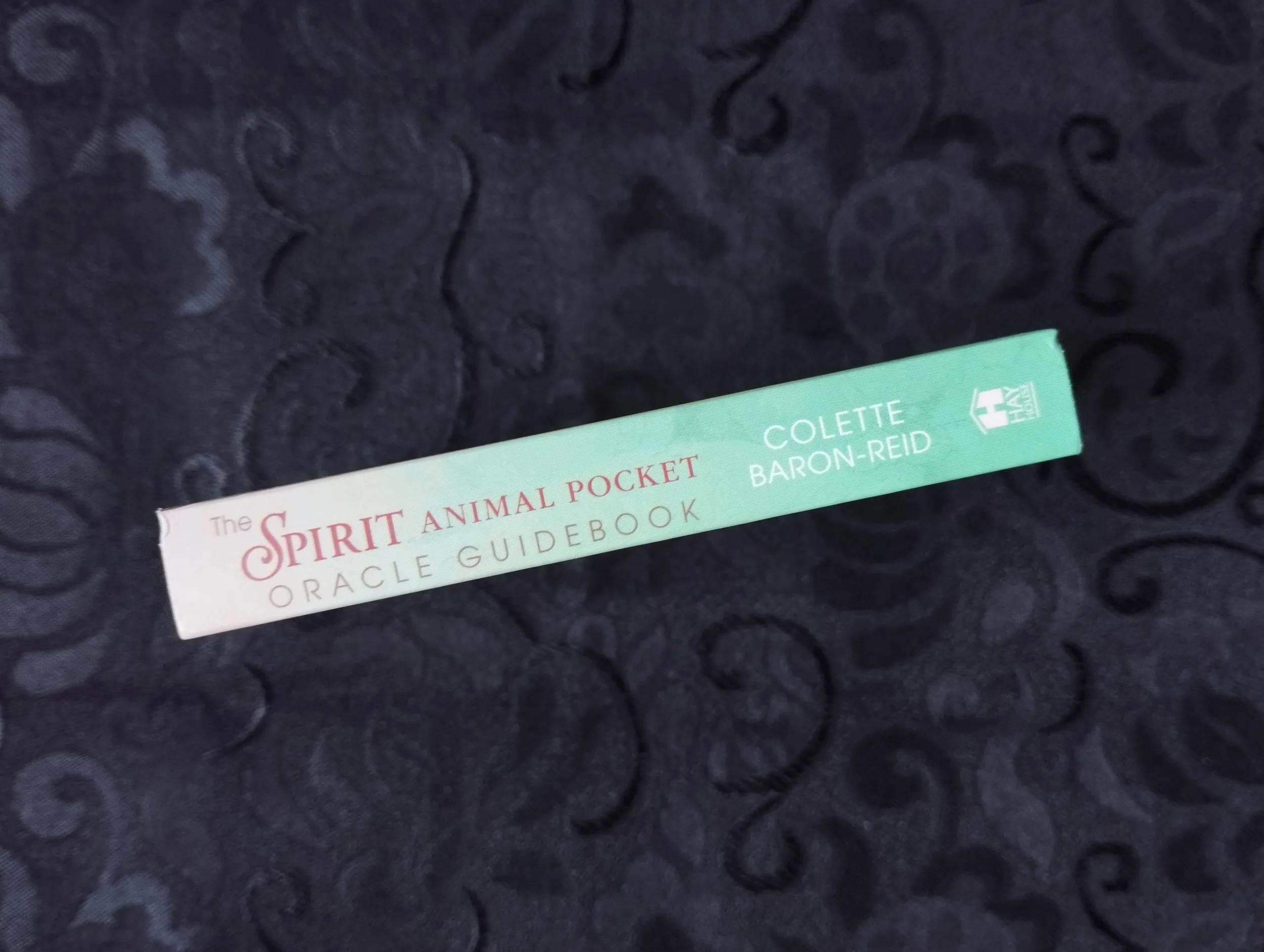 collete baron - reid - the spirit animal pocket oracle - karte - slika 3