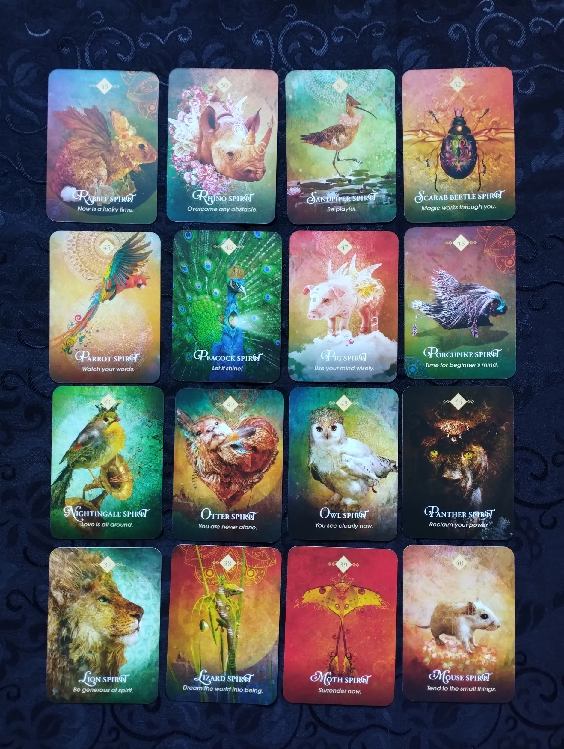 collete baron - reid - the spirit animal pocket oracle - karte - slika 7