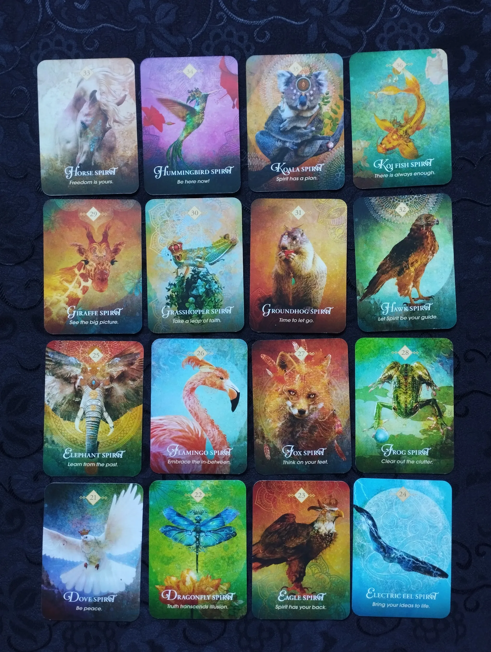 collete baron - reid - the spirit animal pocket oracle - karte - slika 8