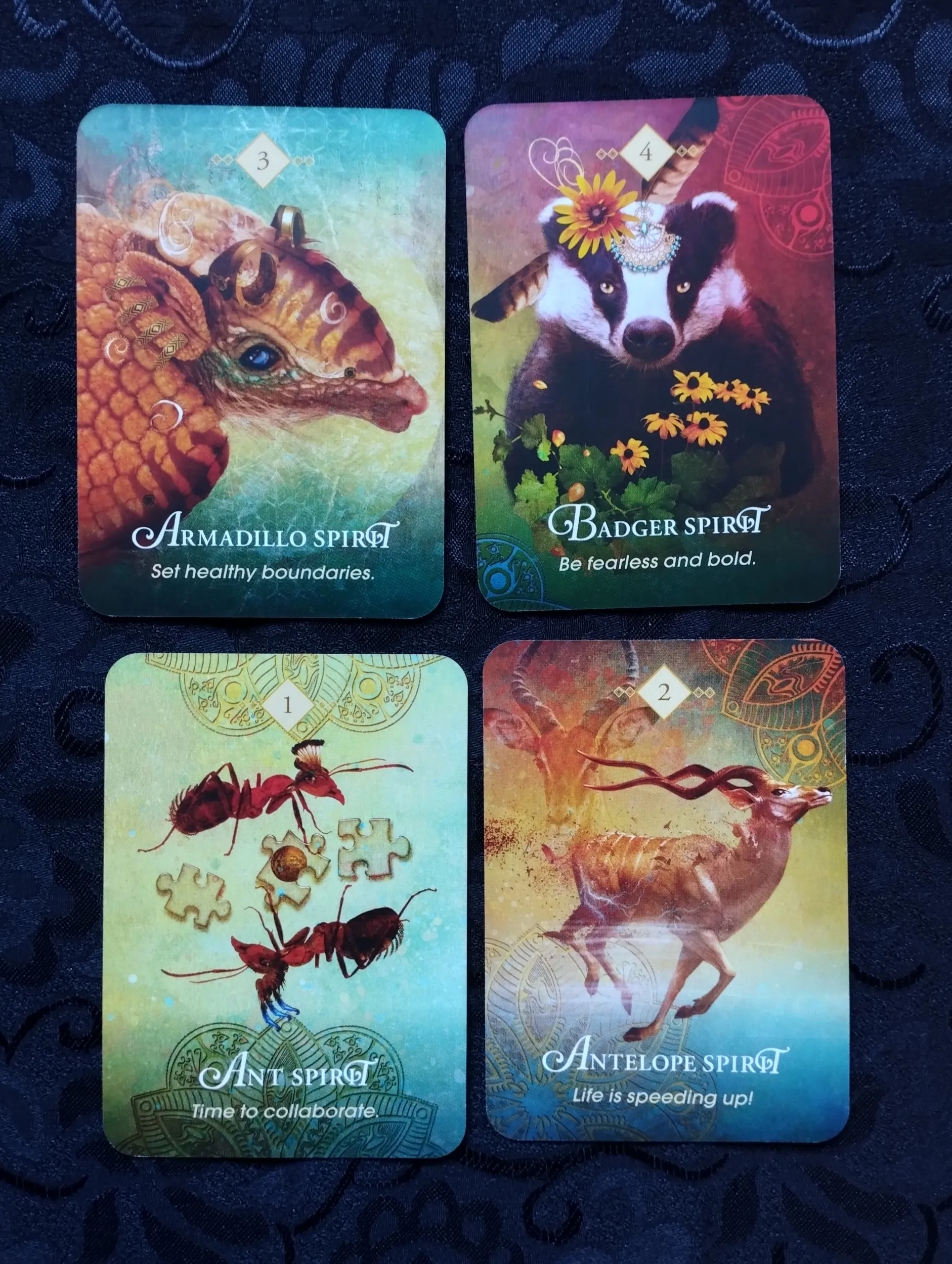 collete baron - reid - the spirit animal pocket oracle - karte - slika 10