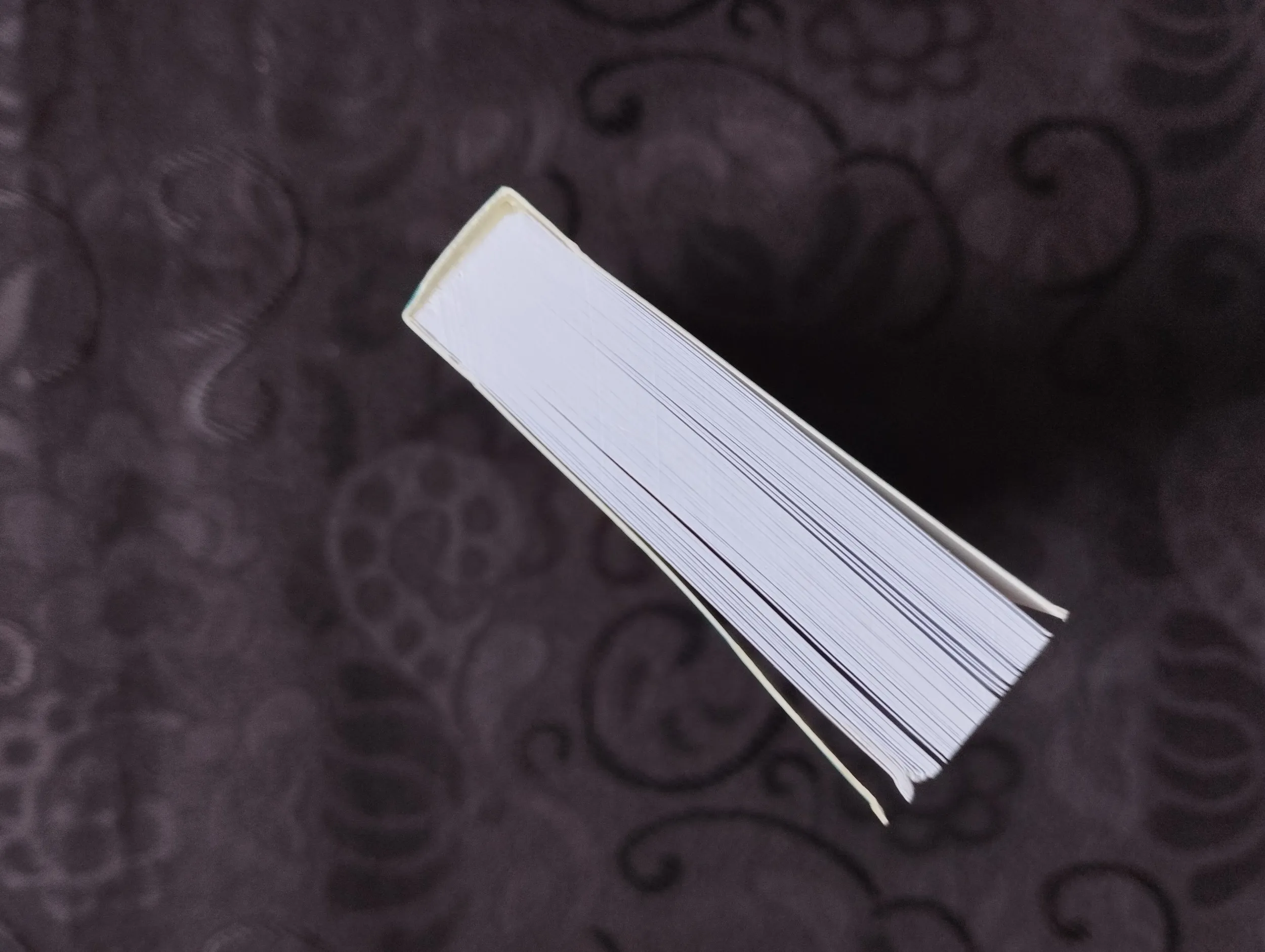 chris anne - the light seer`s pocket tarot - karte - slika 5