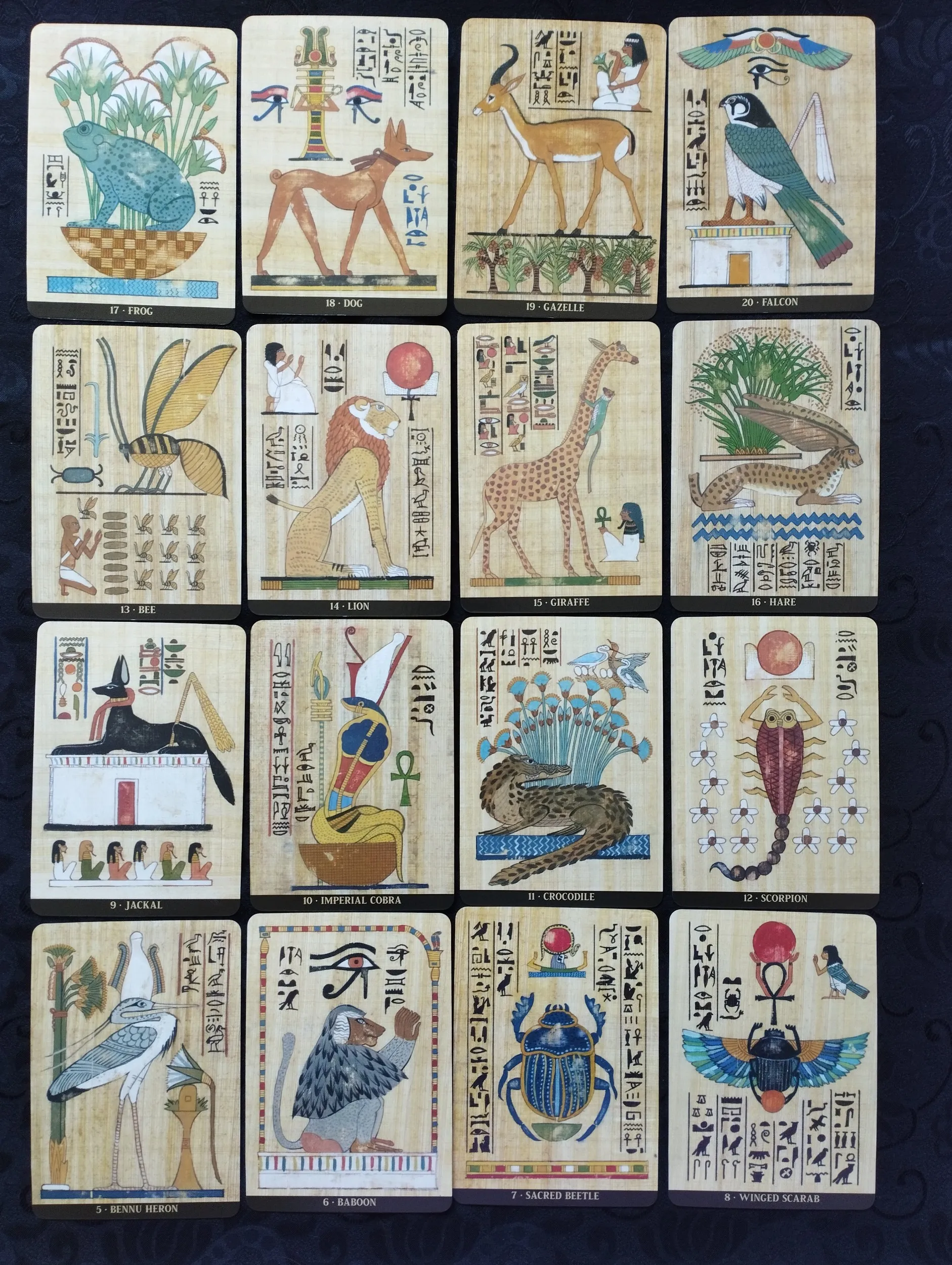 silvana alasia - egyptian sacret animals oracle cards - karte - slika 7