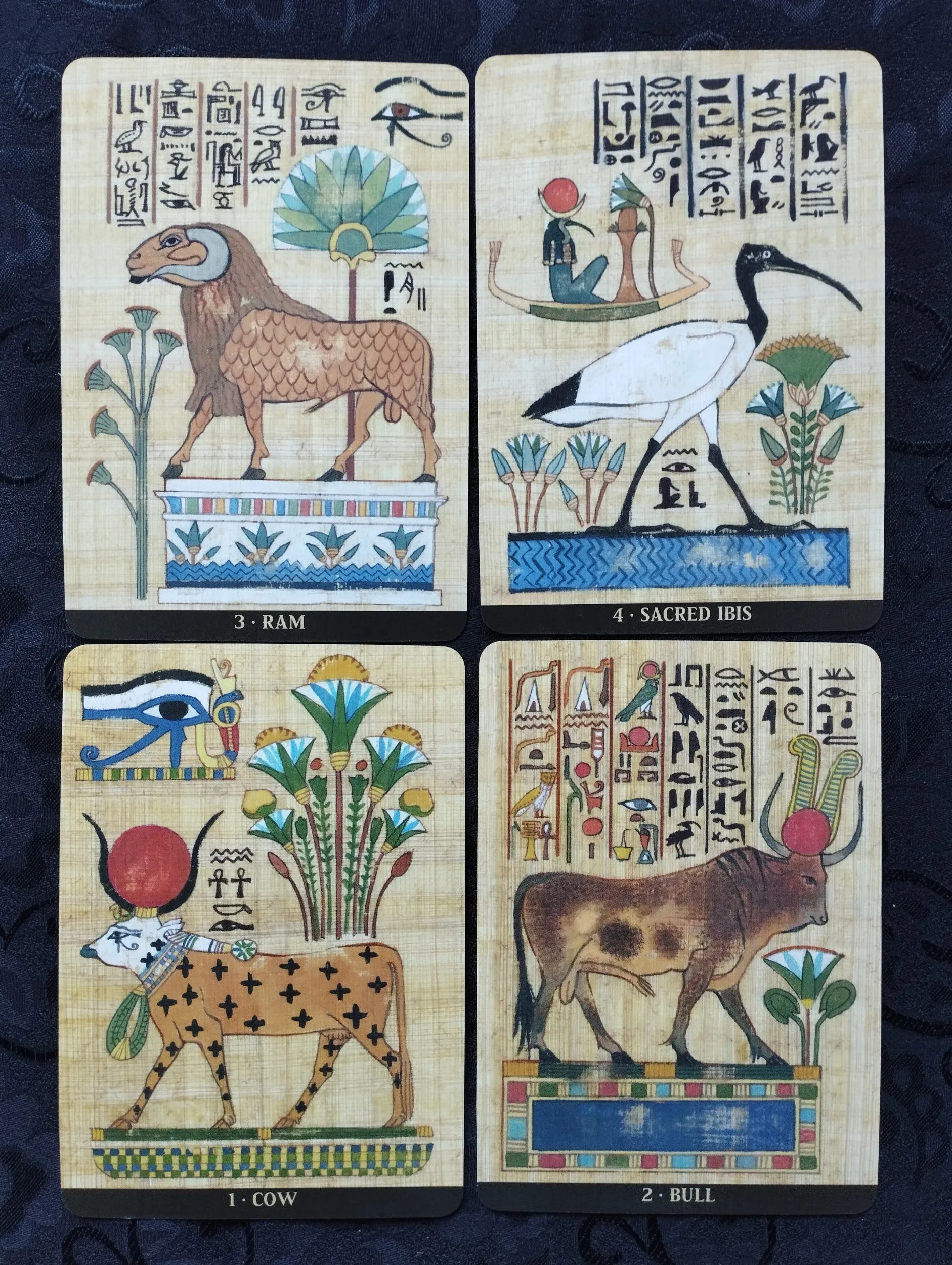 silvana alasia - egyptian sacret animals oracle cards - karte - slika 8