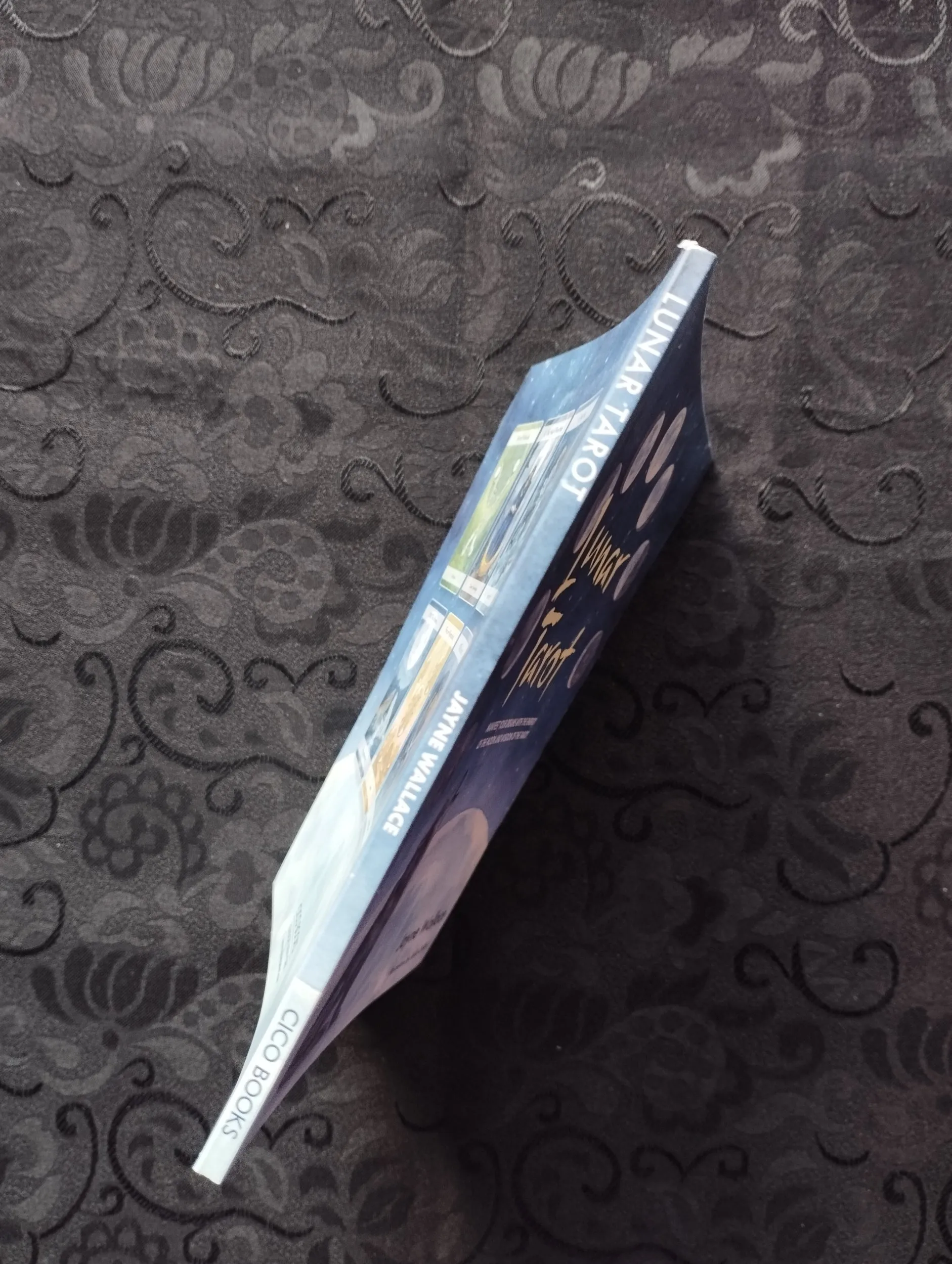 jayne wallace - lunar tarot - karte - slika 5