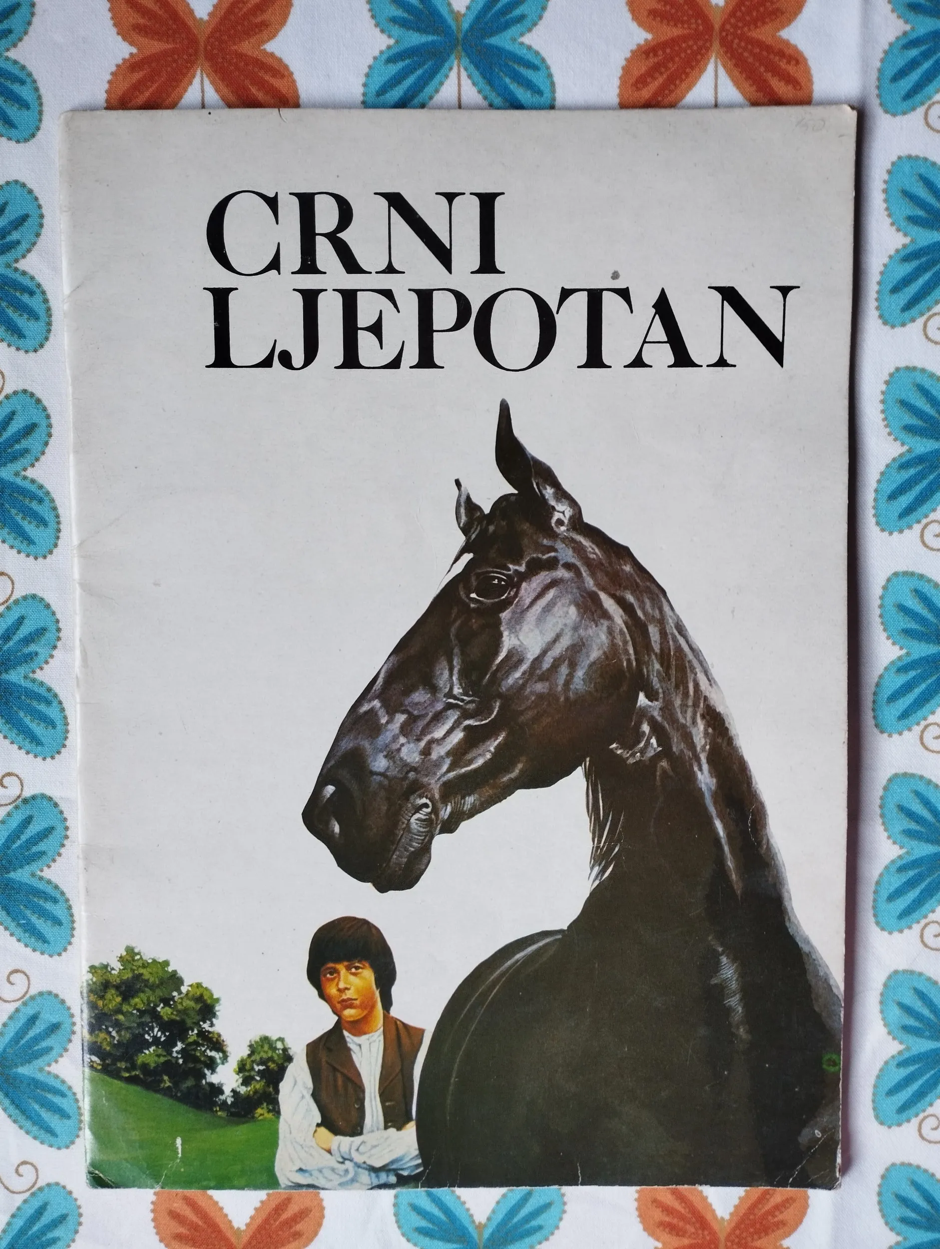 crni ljepotan - slika 1