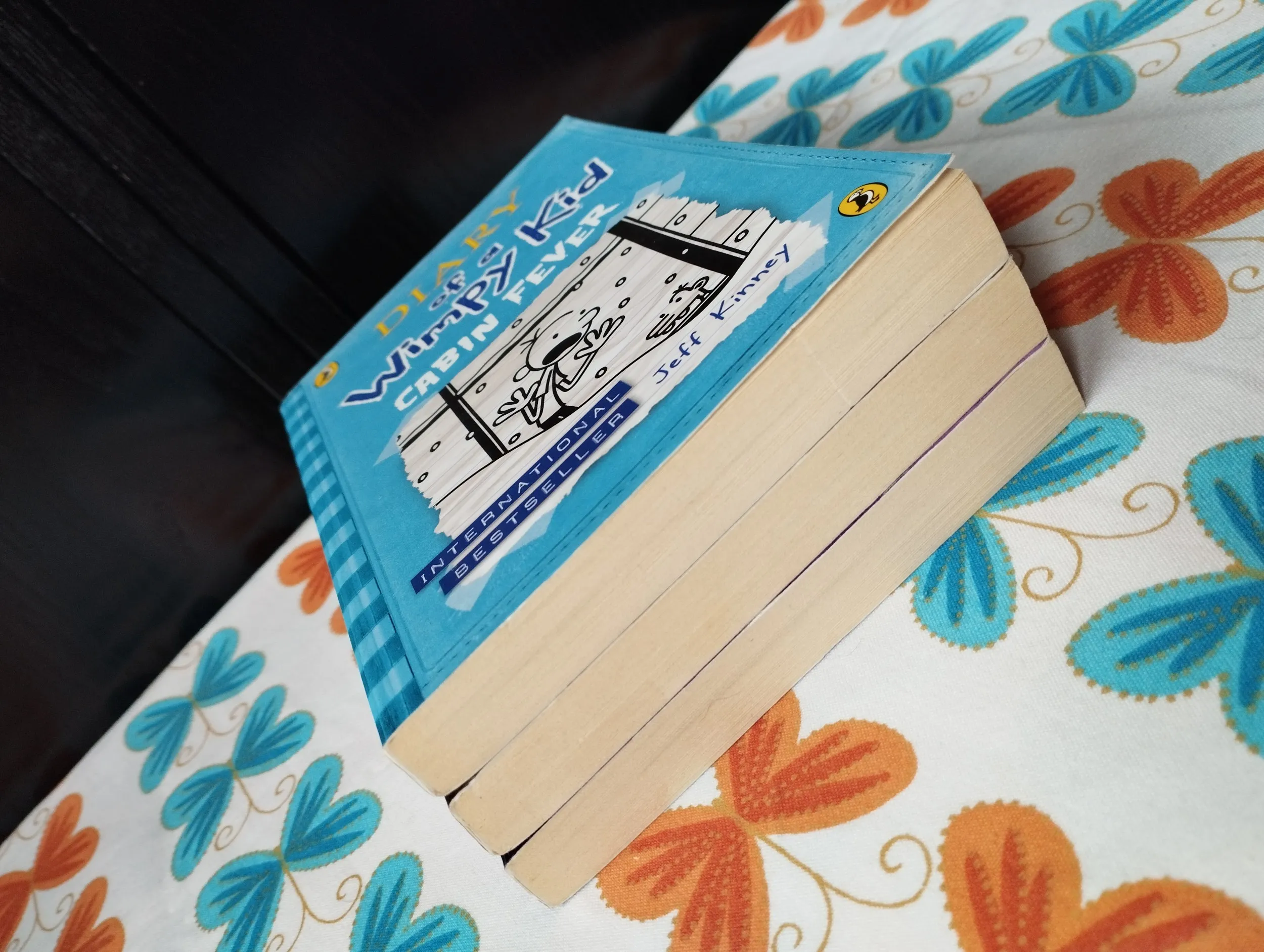 jeff kinney - diary of a wimpy kid - više naslova - slika 6