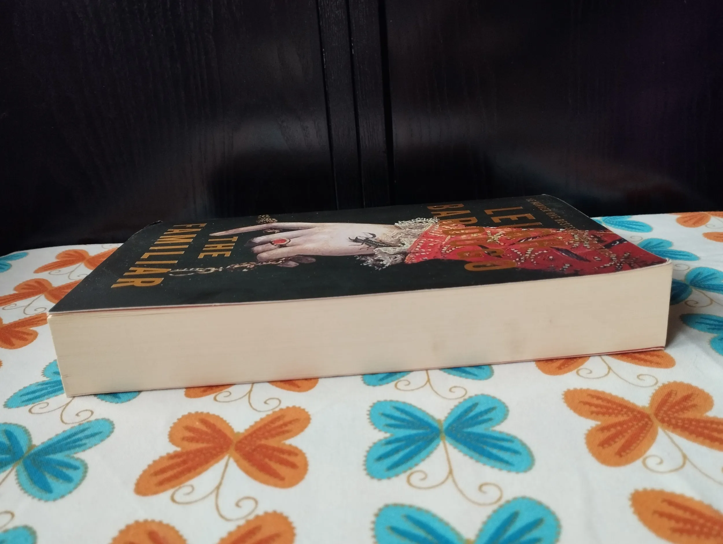 leigh bardugo - the familiar - slika 5