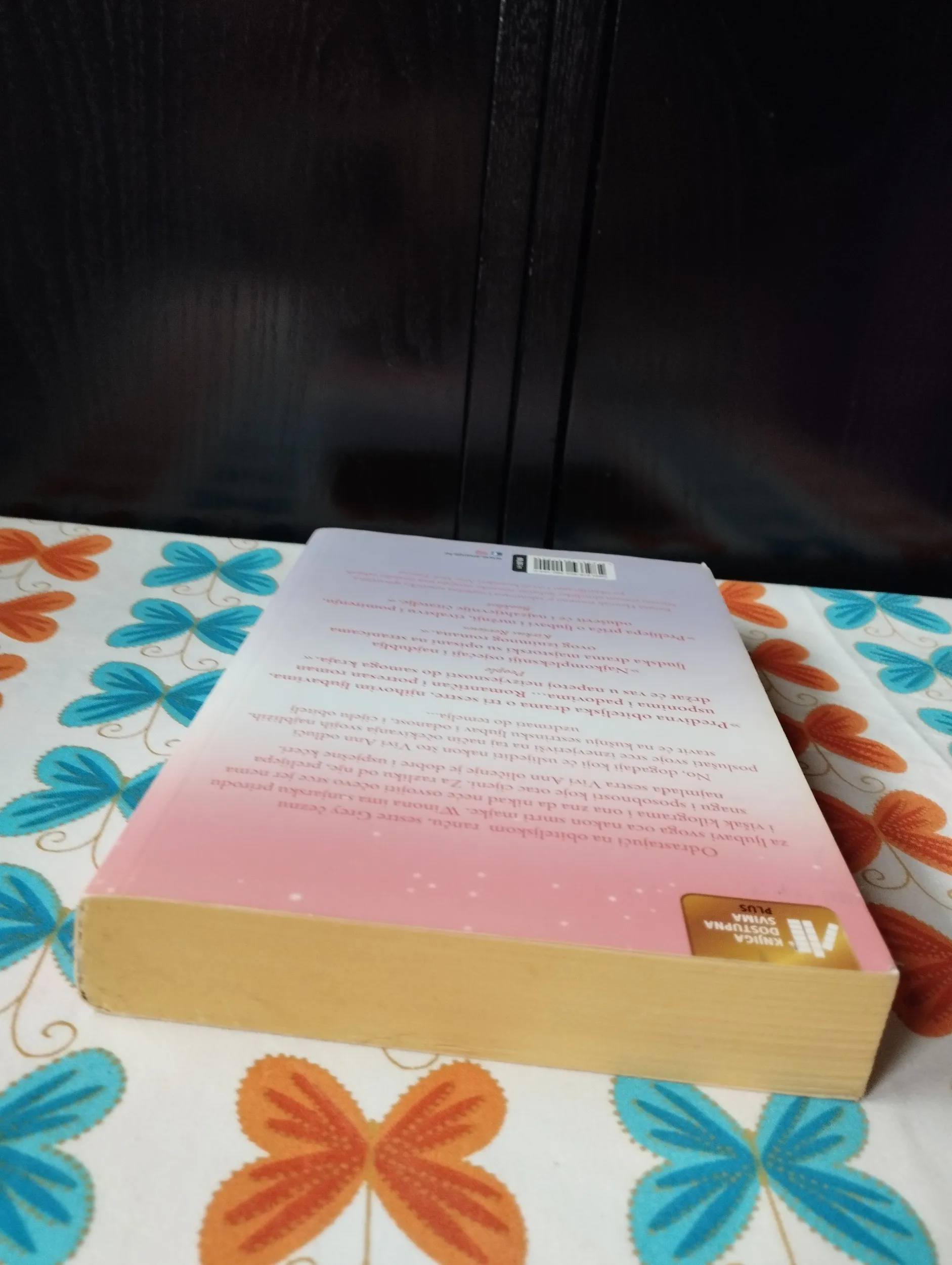 kristin hannah - boje istine - slika 6