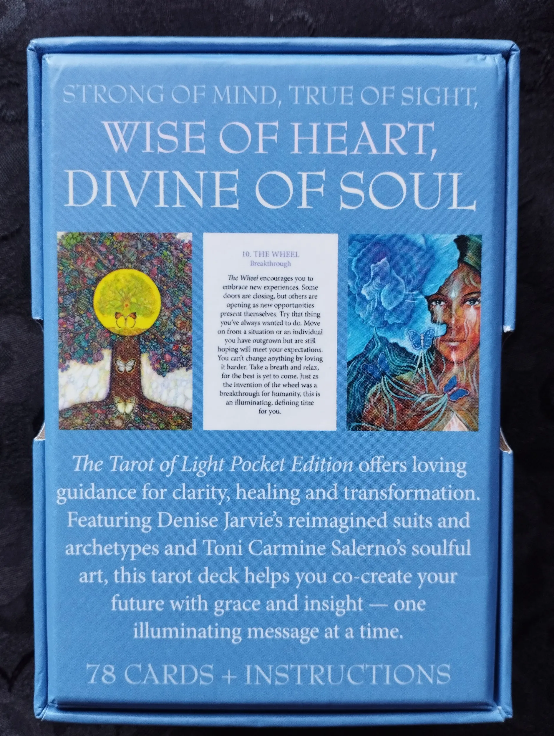 denise jarvie - the tarot of light - karte - slika 2