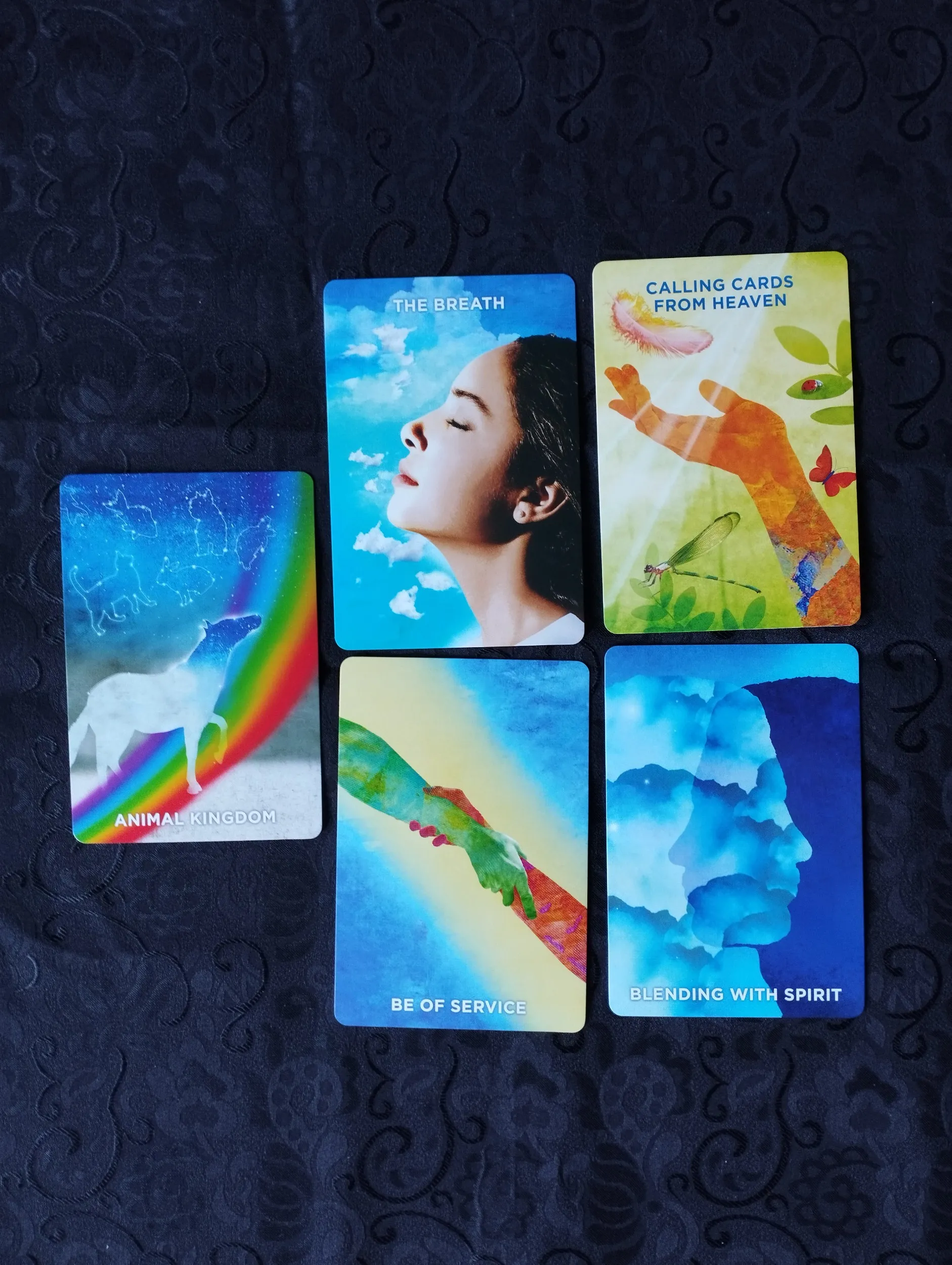 john holland, lauren rainbow - the mediumship training deck - karte - slika 9