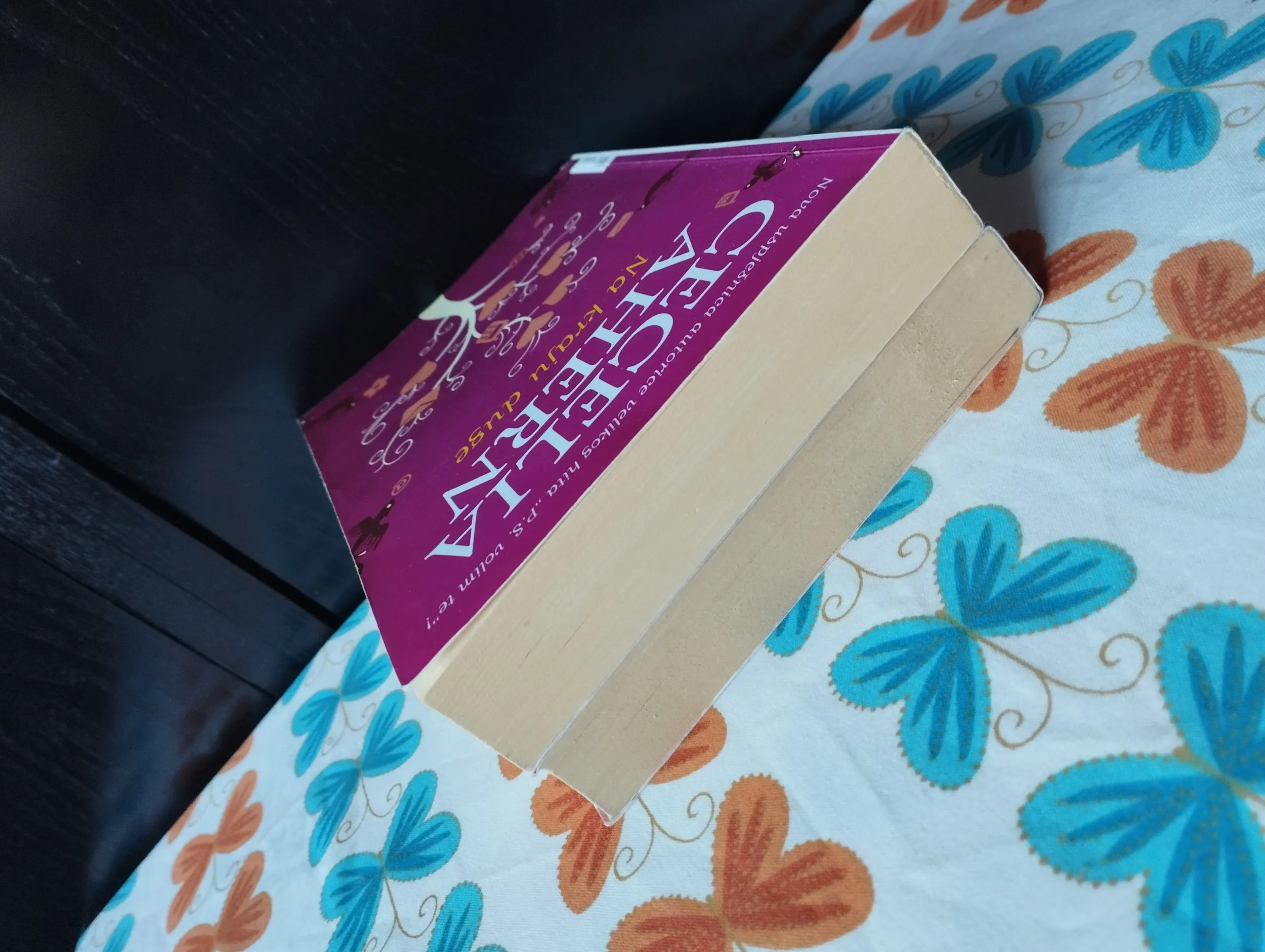 cecelia ahern - na kraju duge, hvala ti na uspomenama - slika 4