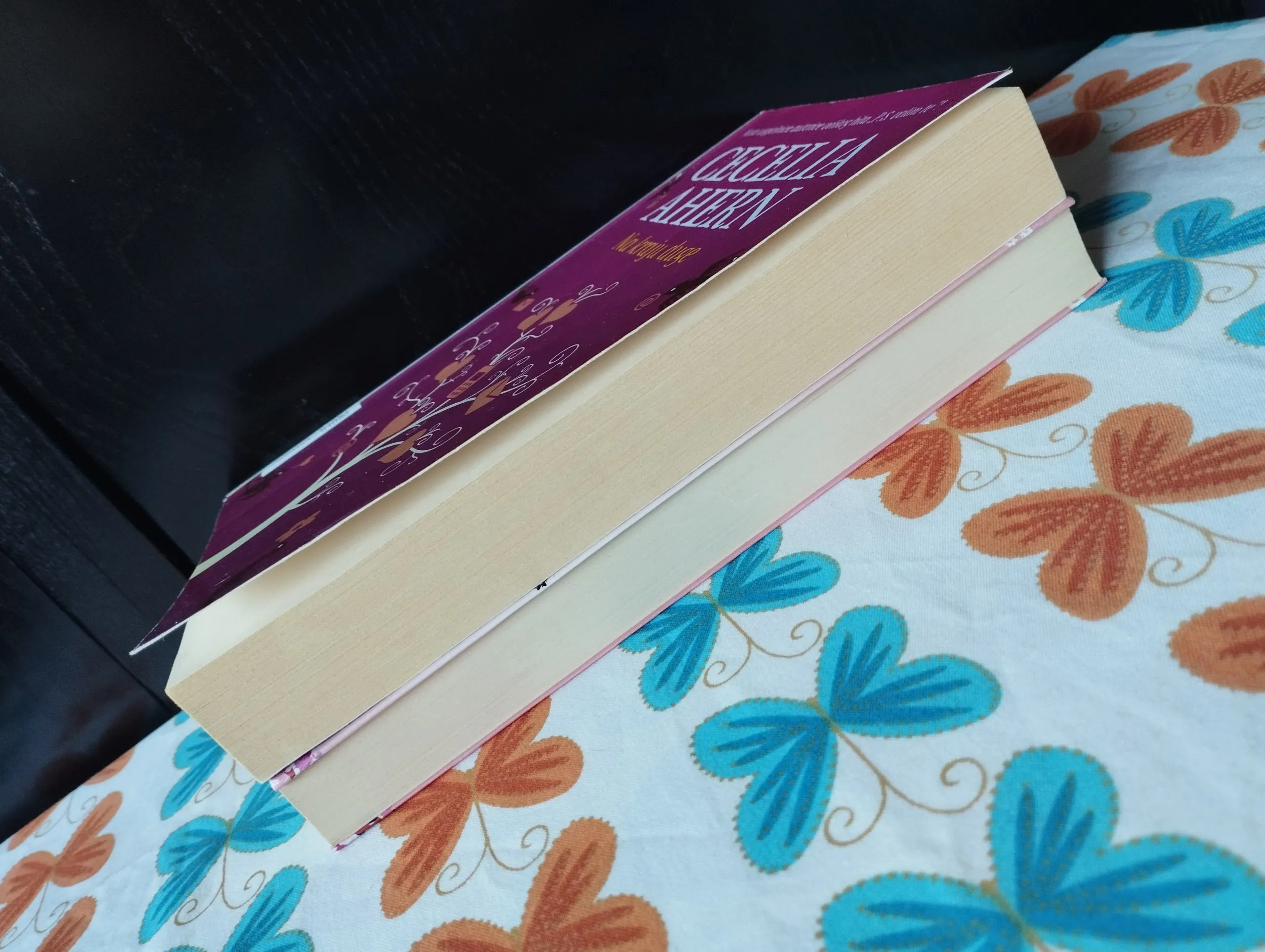 cecelia ahern - na kraju duge, hvala ti na uspomenama - slika 5
