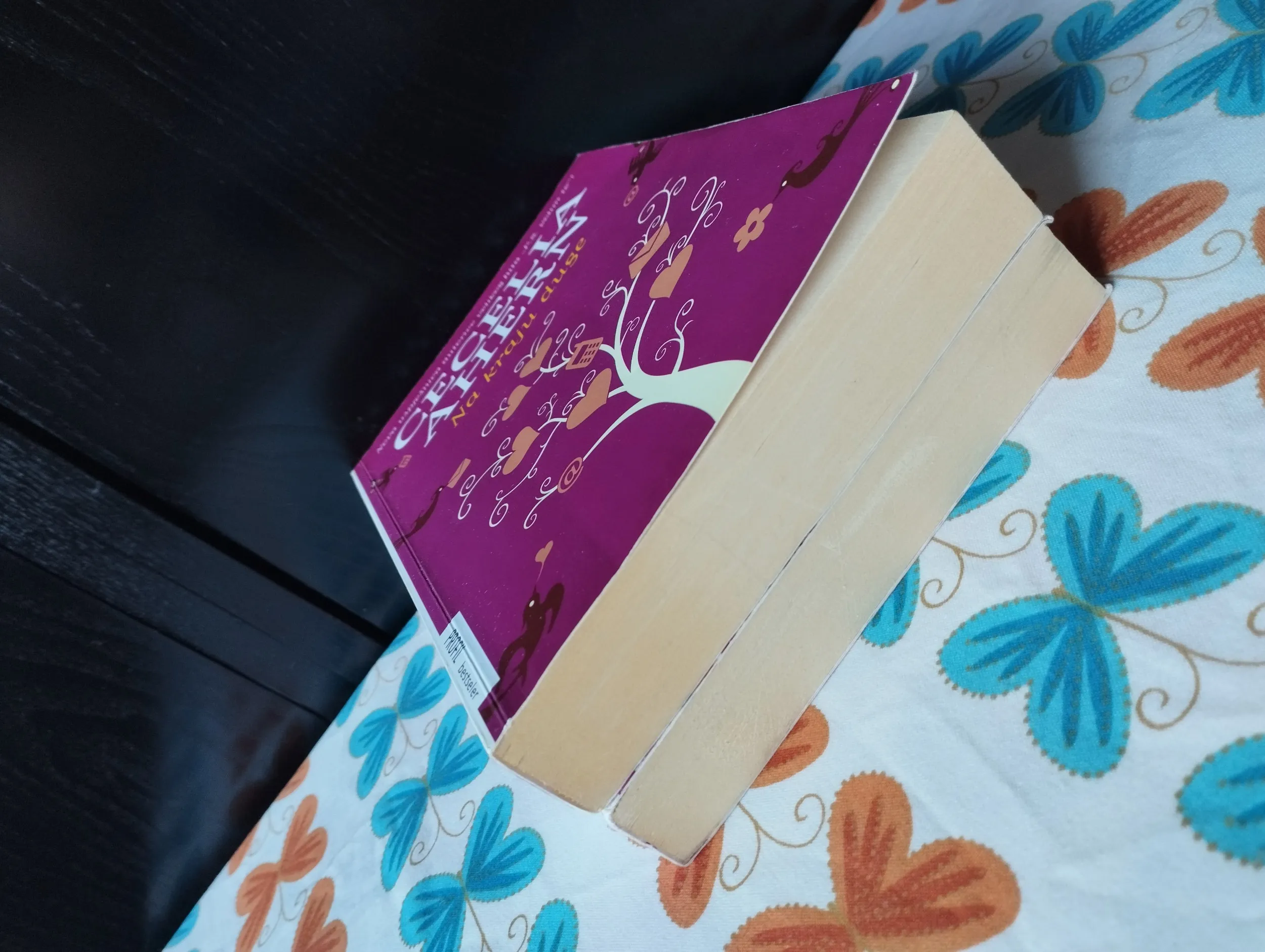 cecelia ahern - na kraju duge, hvala ti na uspomenama - slika 6