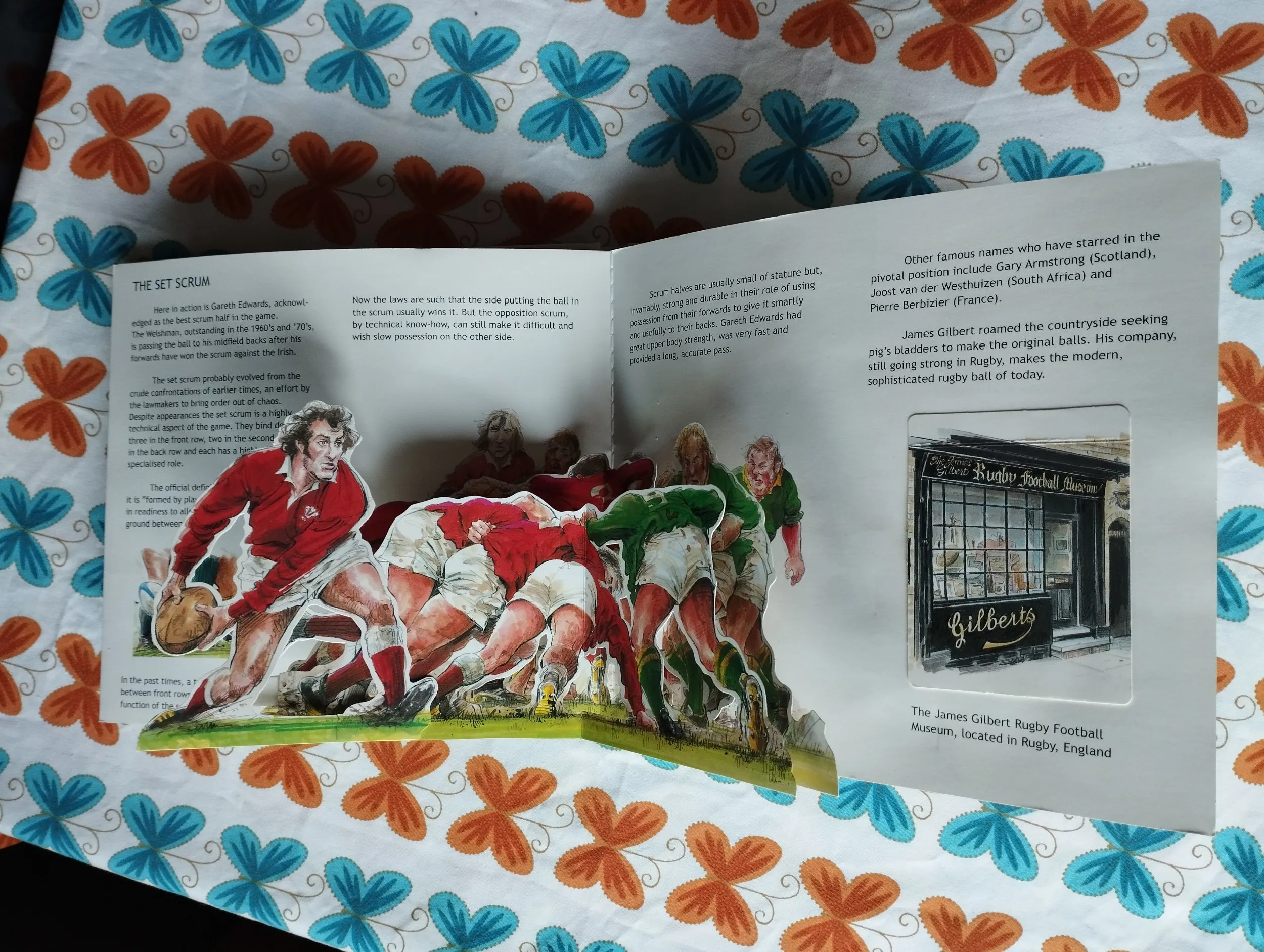sean diffley _ rugby - slika 6
