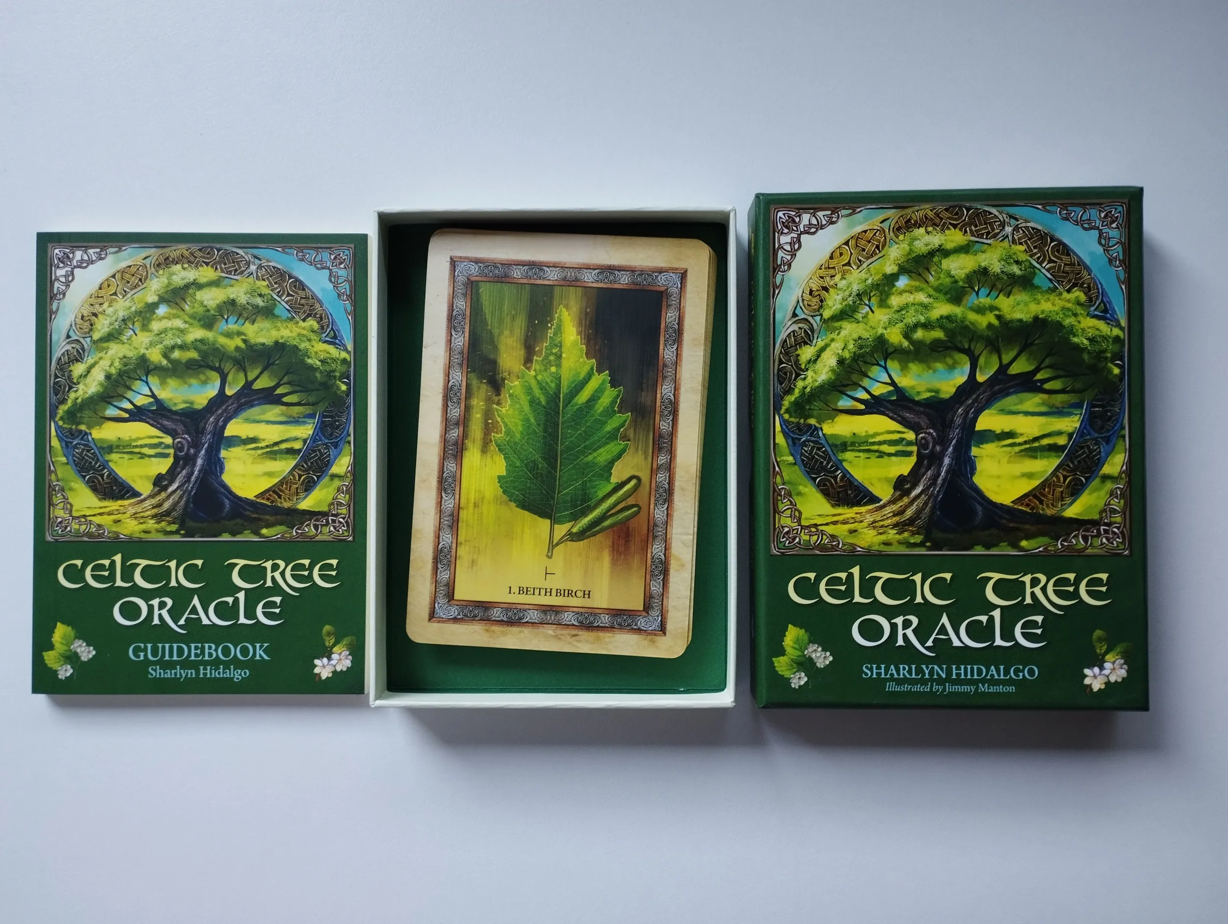 sharlyn hidalgo - celtic tree oracle karte - slika 3