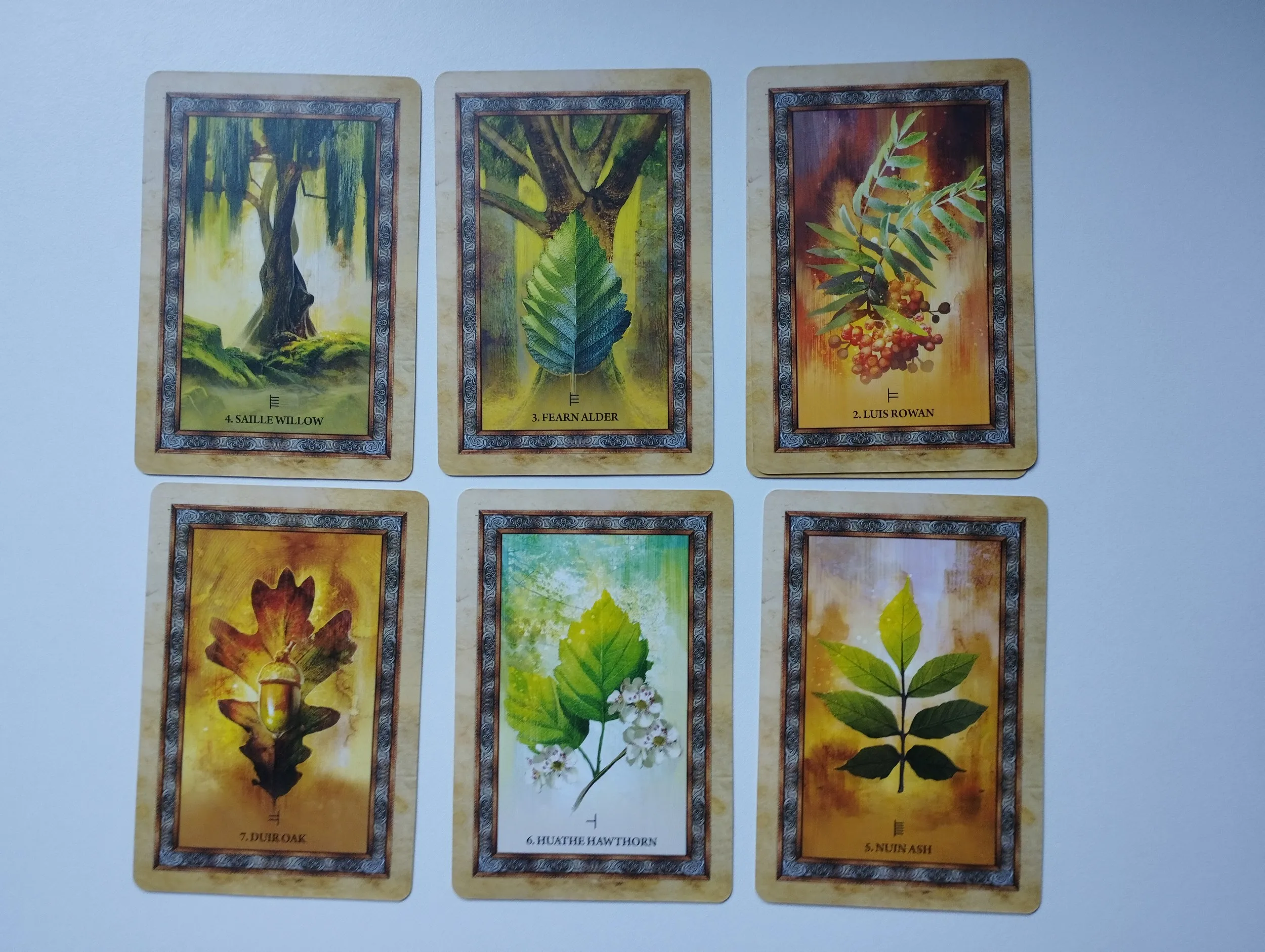 sharlyn hidalgo - celtic tree oracle karte - slika 4