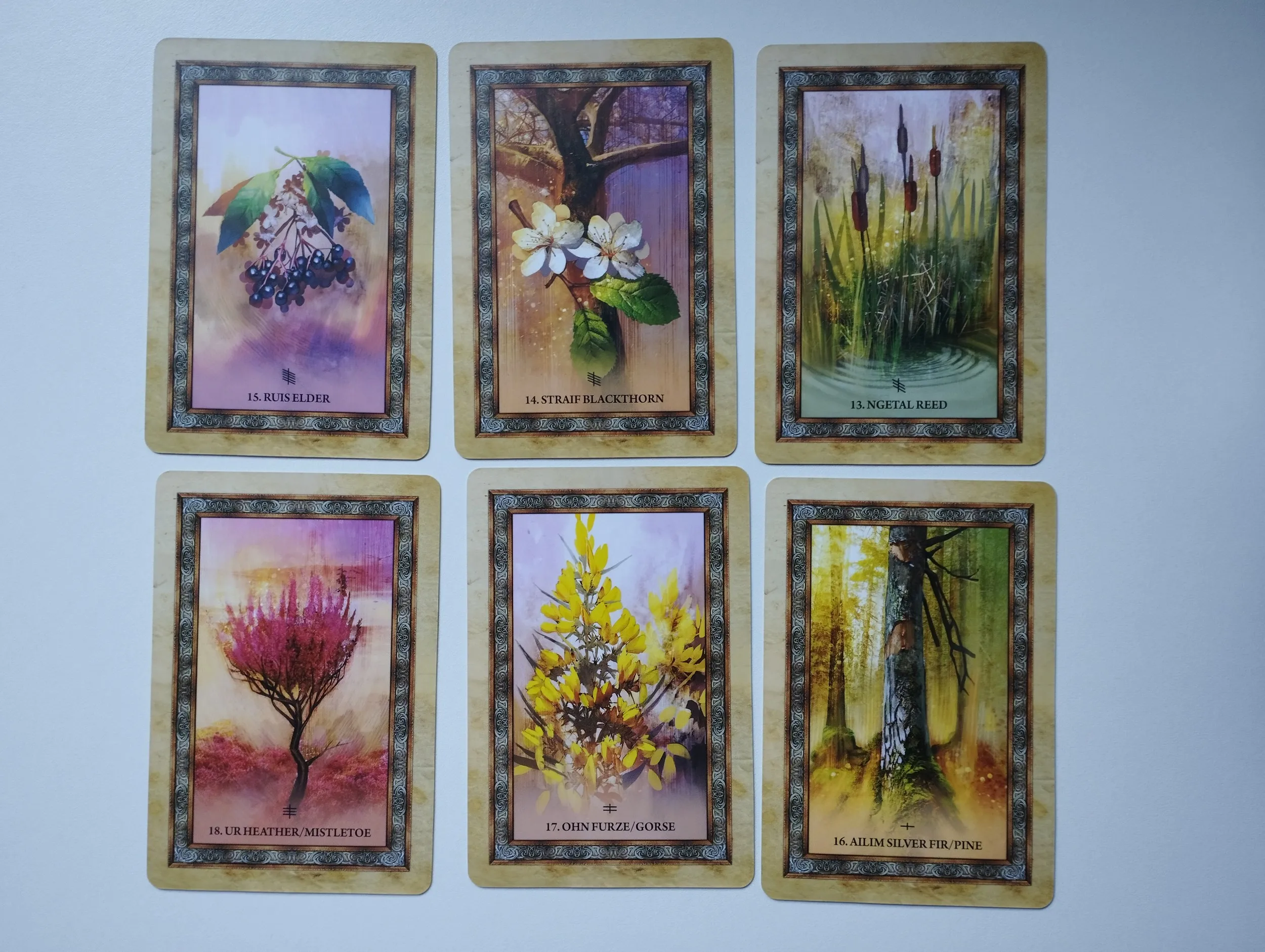 sharlyn hidalgo - celtic tree oracle karte - slika 5