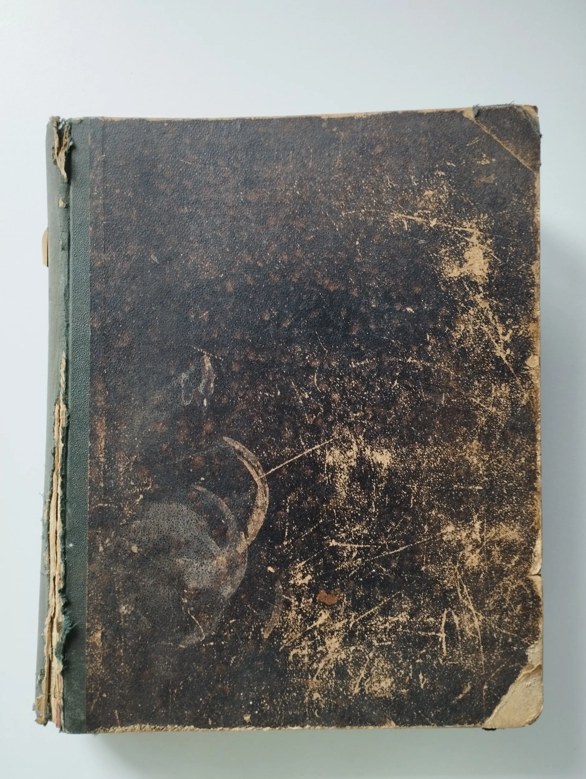 klaić, maravić - vienac 1884. - slika 2