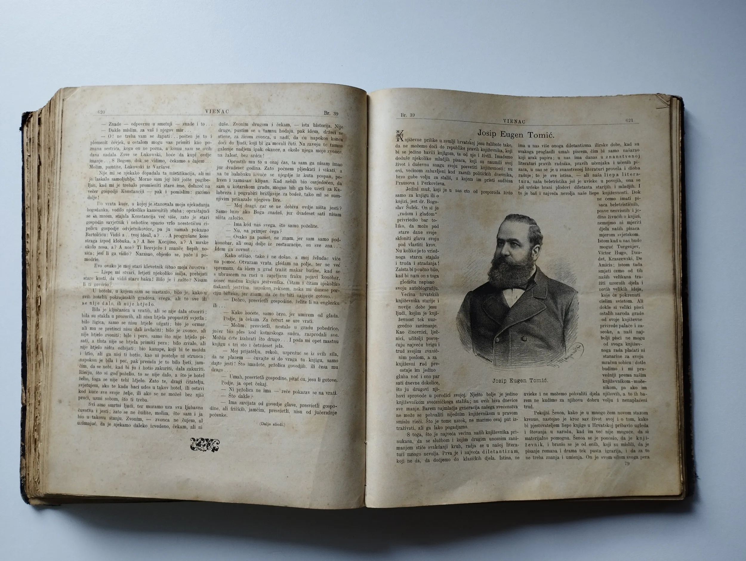 klaić, maravić - vienac 1884. - slika 12