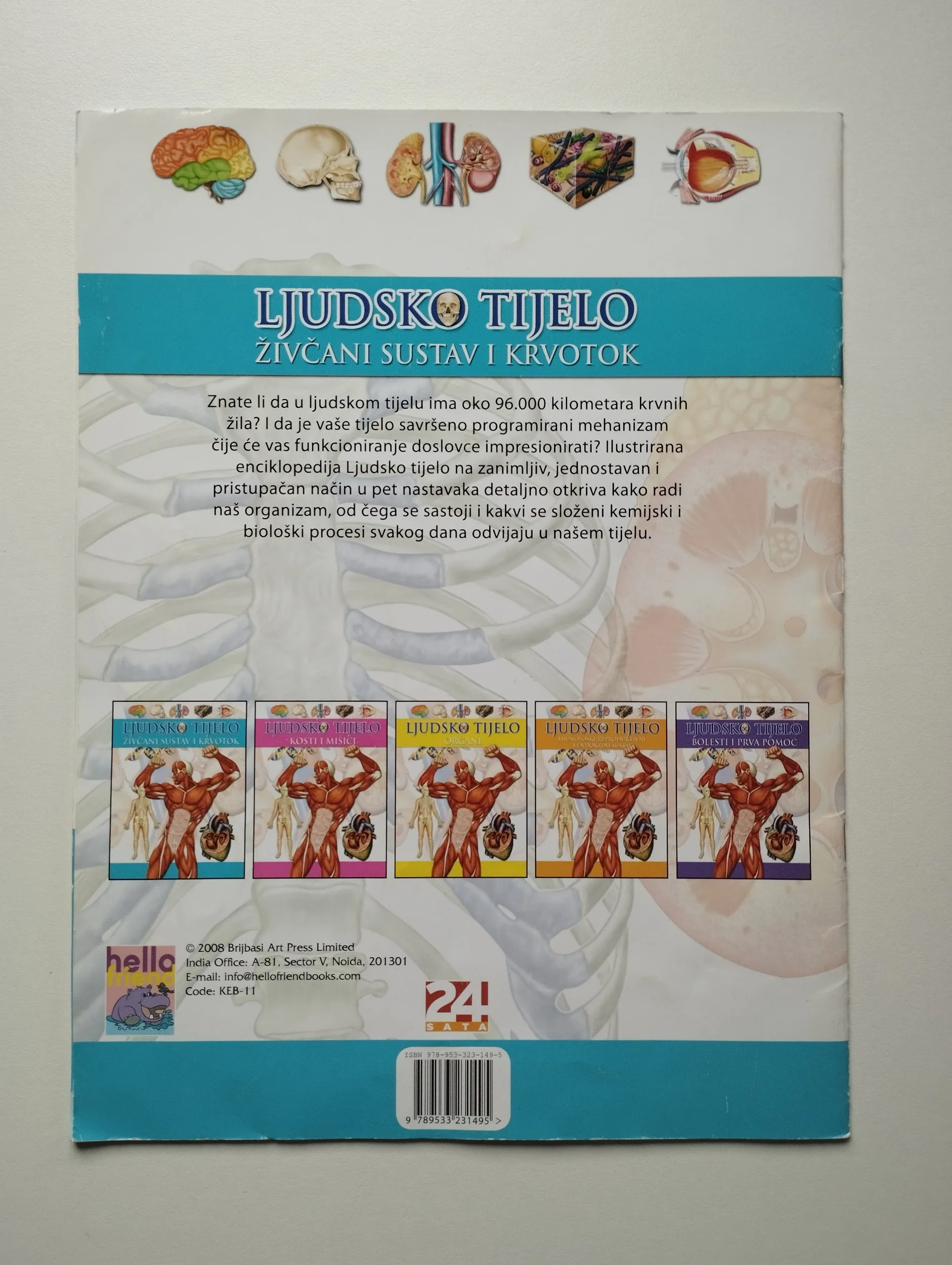 ljudsko tijelo; živčani sustav i krvotok - slika 2