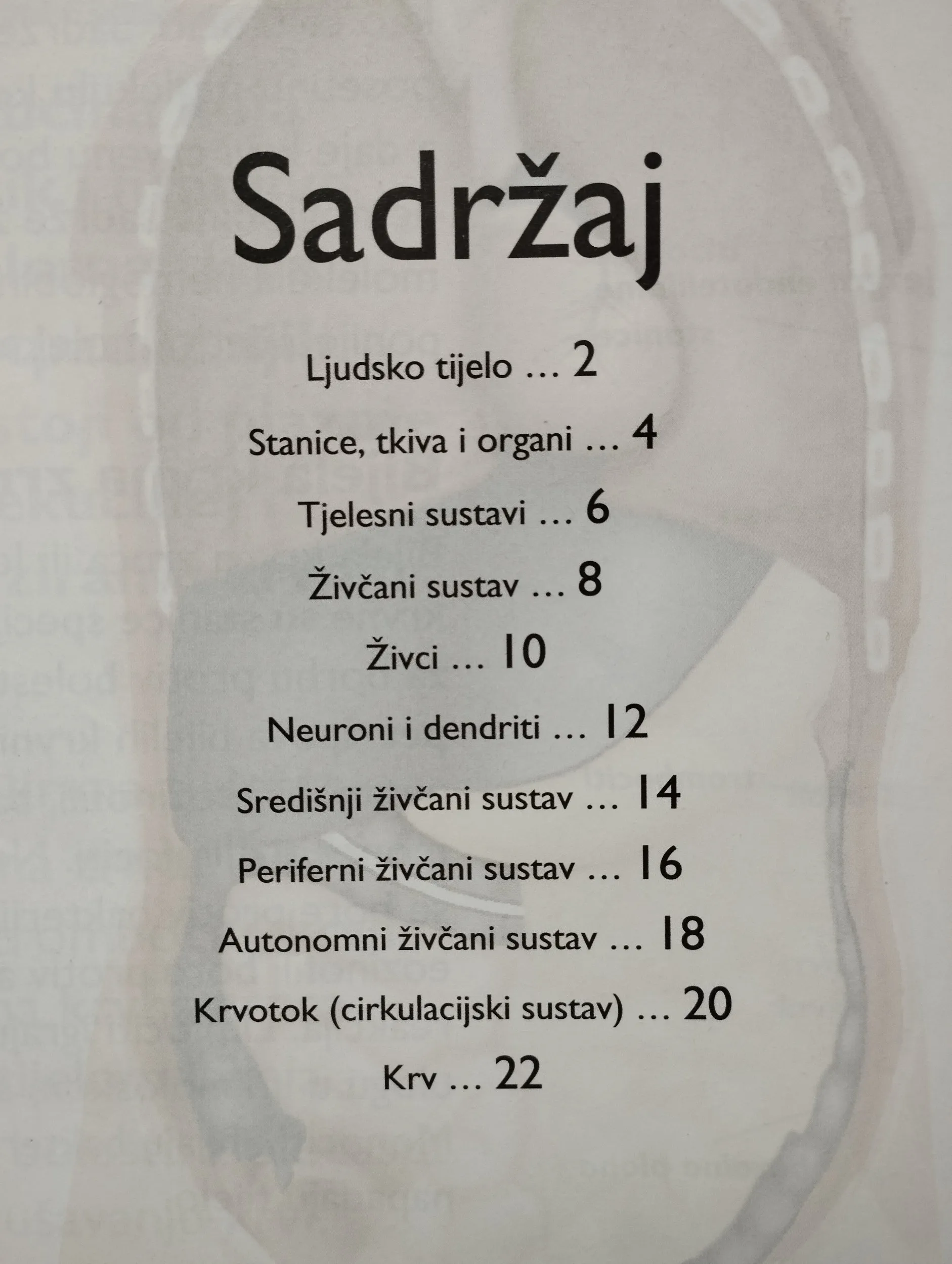 ljudsko tijelo; živčani sustav i krvotok - slika 6