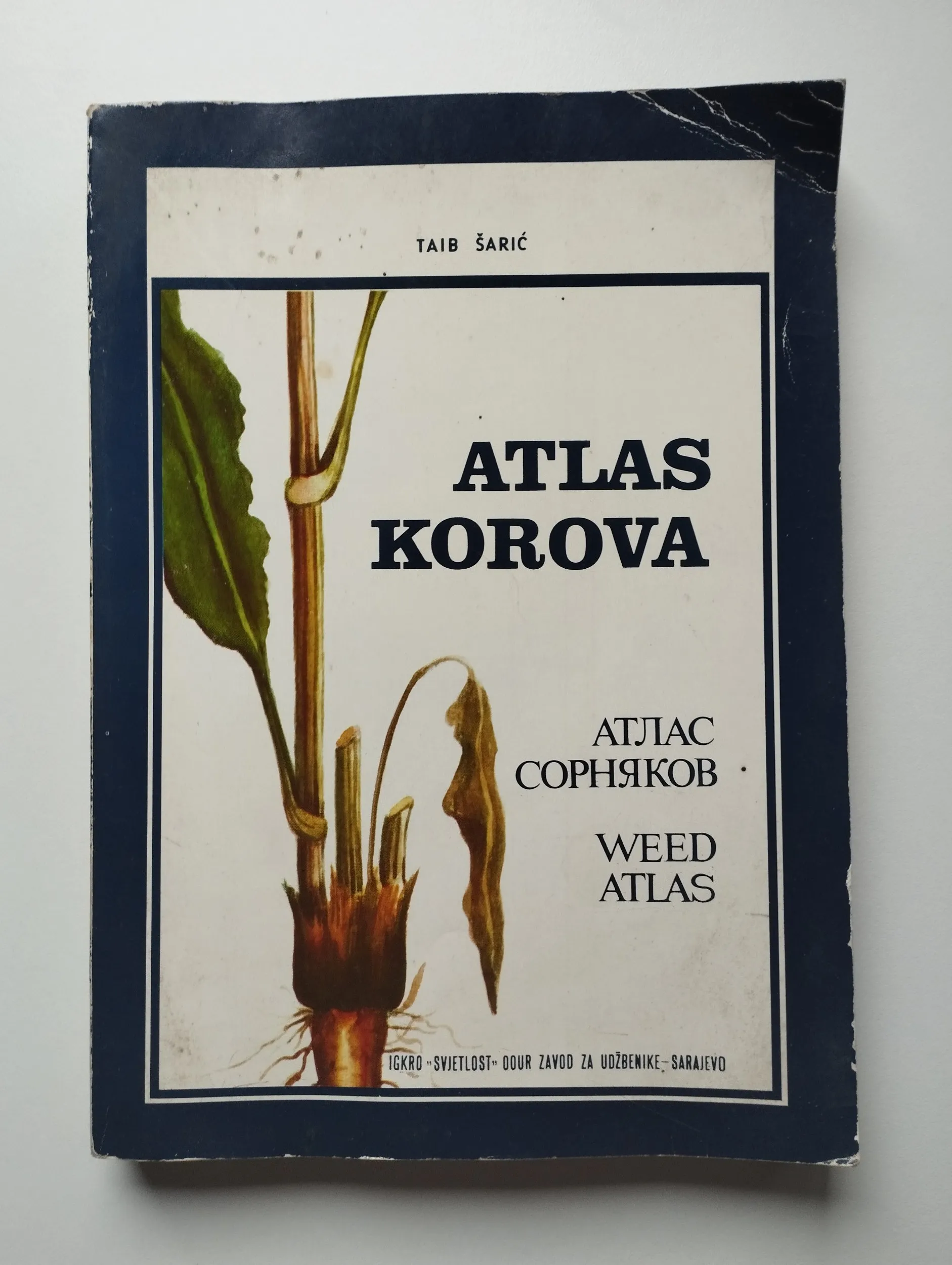 Taib Šarić - Atlas korova - Samobor