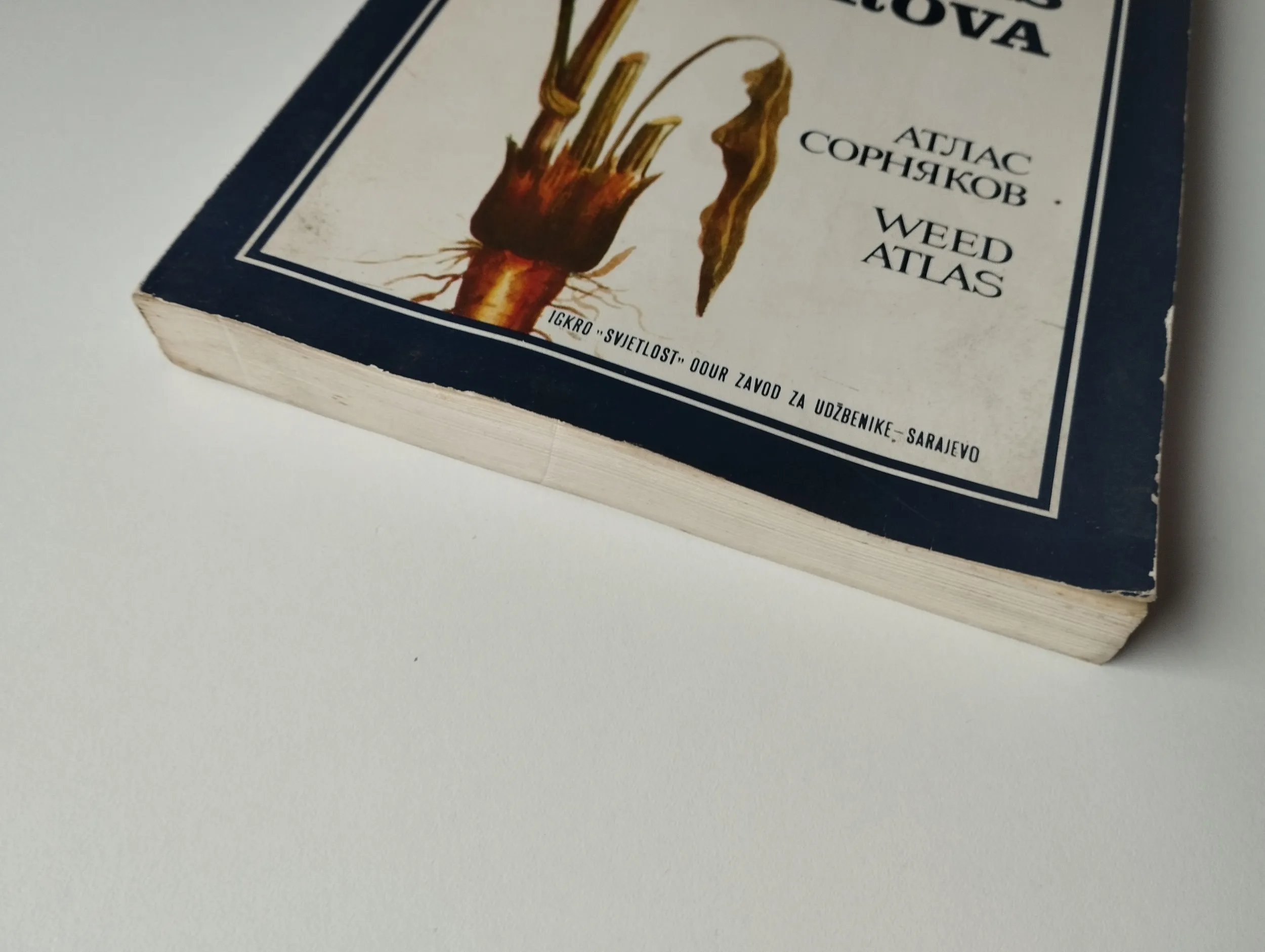 taib šarić - atlas korova - slika 4