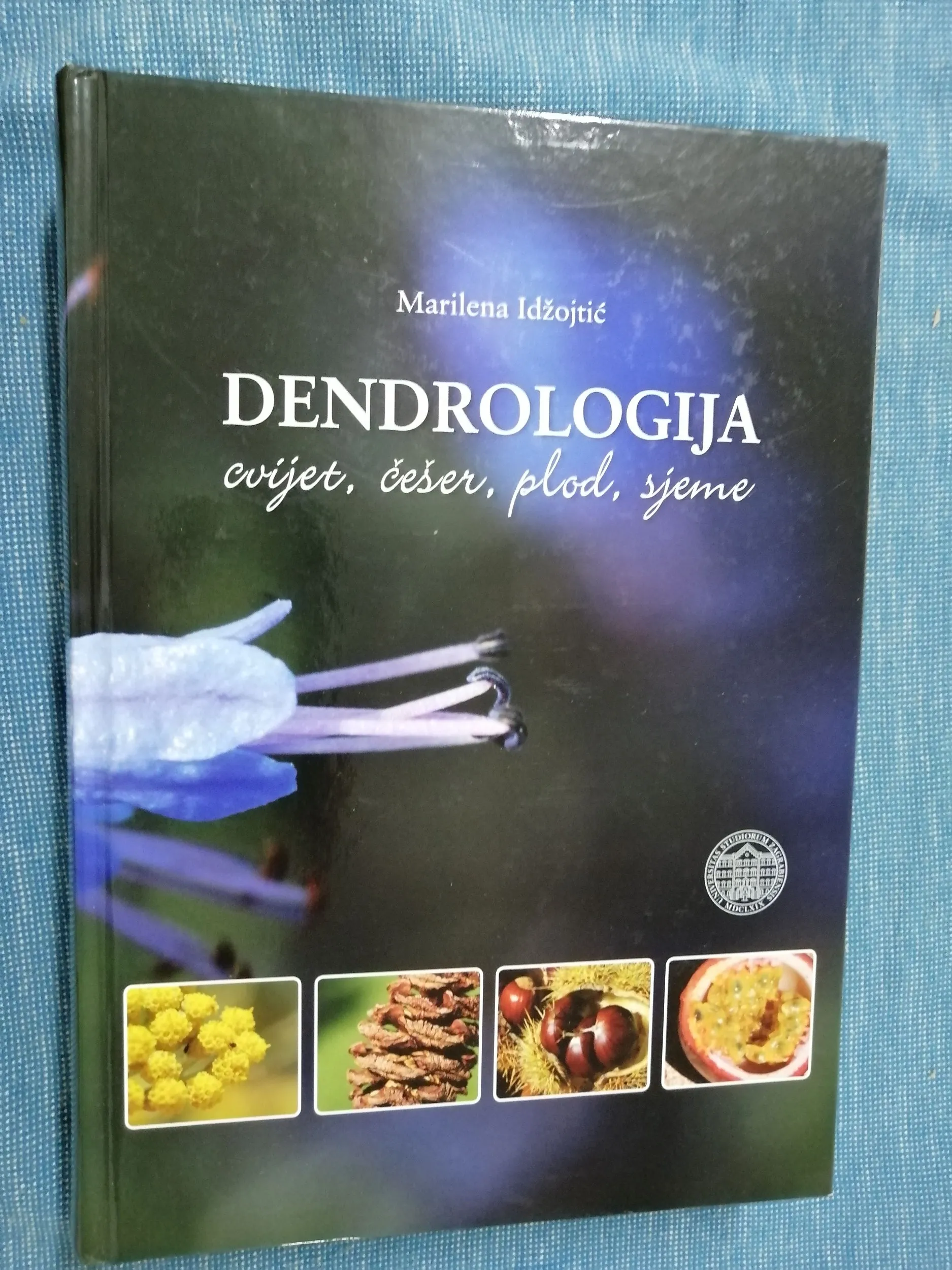 Marilena Idžojtić – Dendrologija : cvijet, češer, plod, sjeme - Zagreb