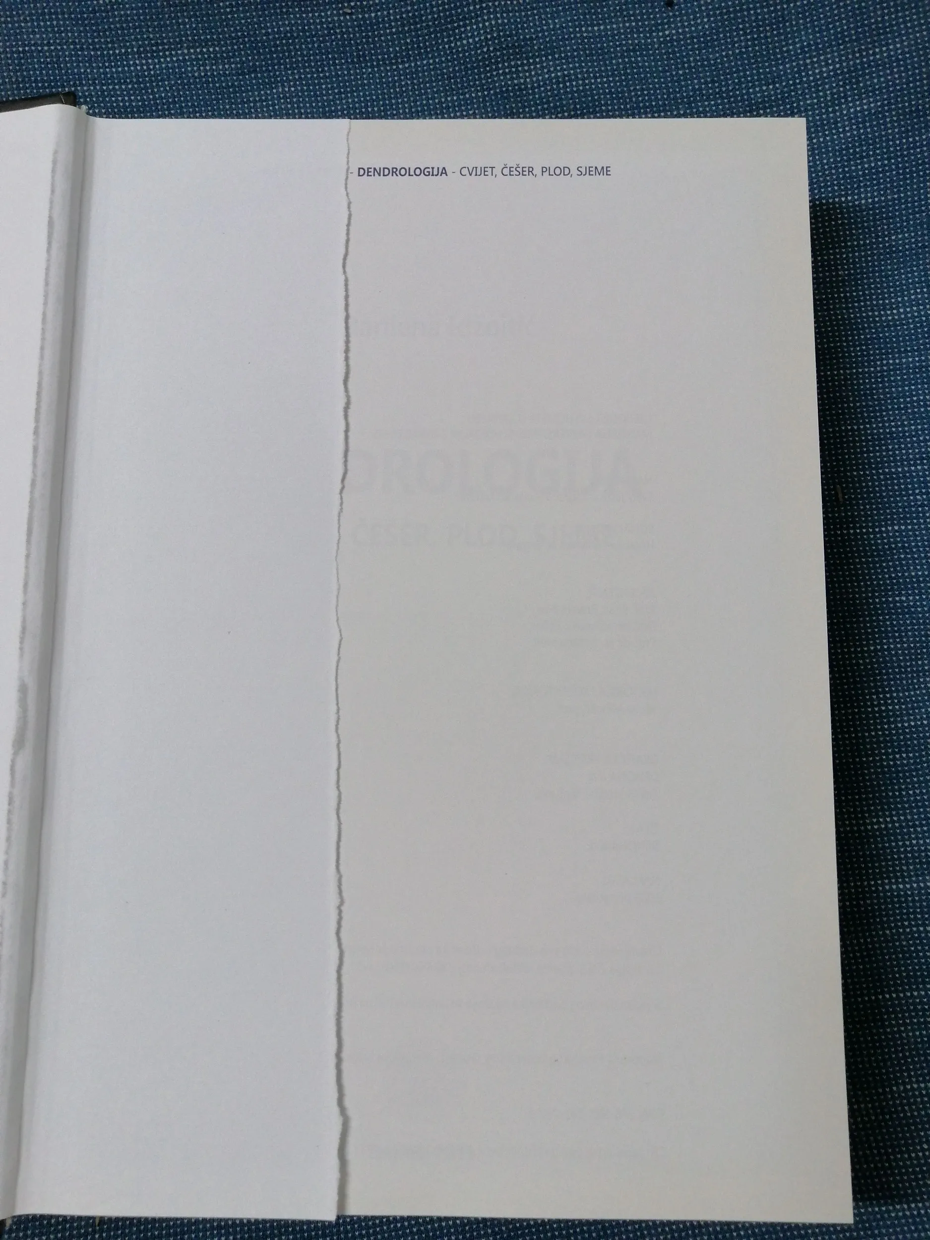 marilena idžojtić – dendrologija : cvijet, češer, plod, sjeme - slika 2