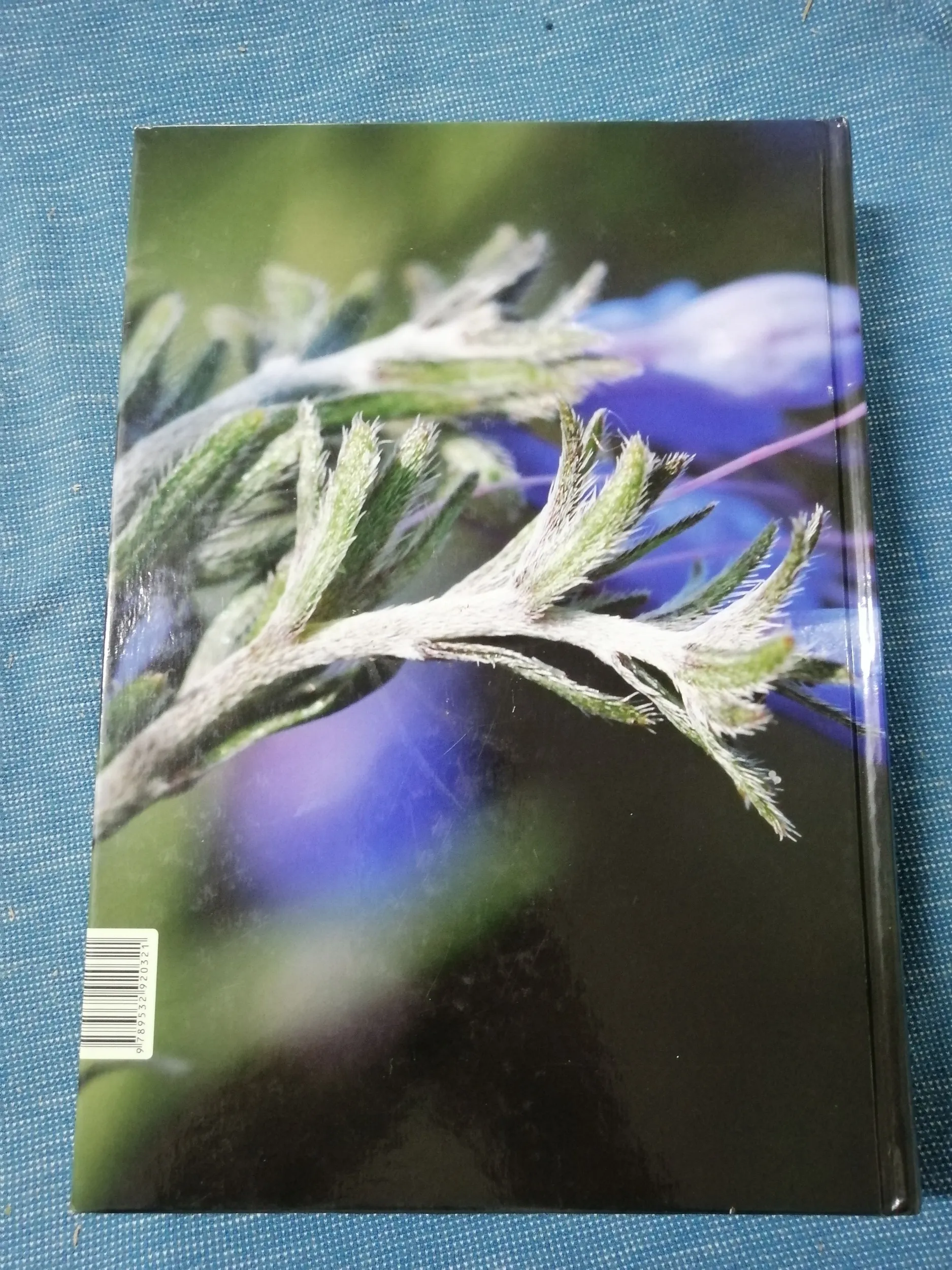 marilena idžojtić – dendrologija : cvijet, češer, plod, sjeme - slika 6