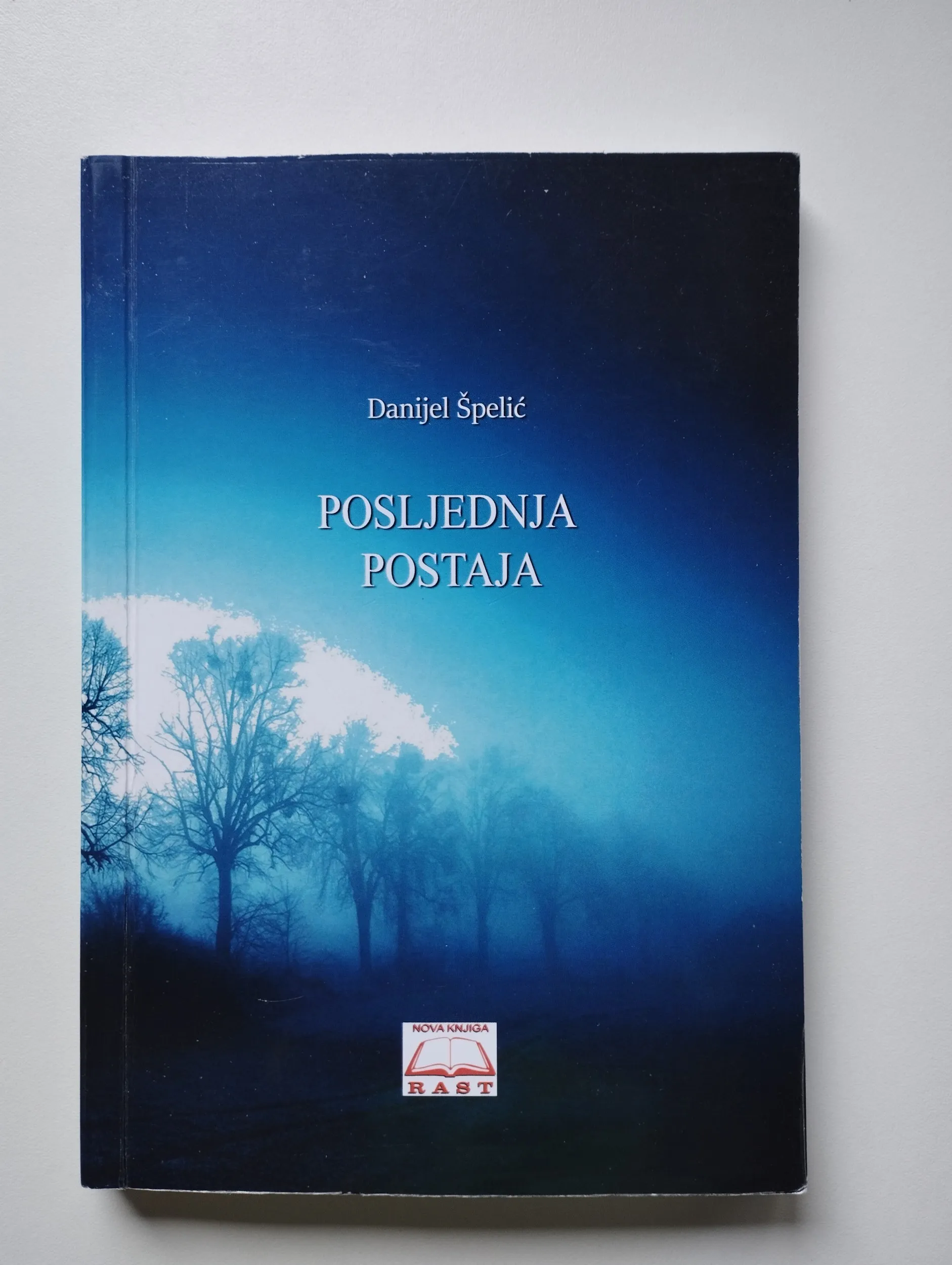 danijel špelić - posljednja postaja - slika 1
