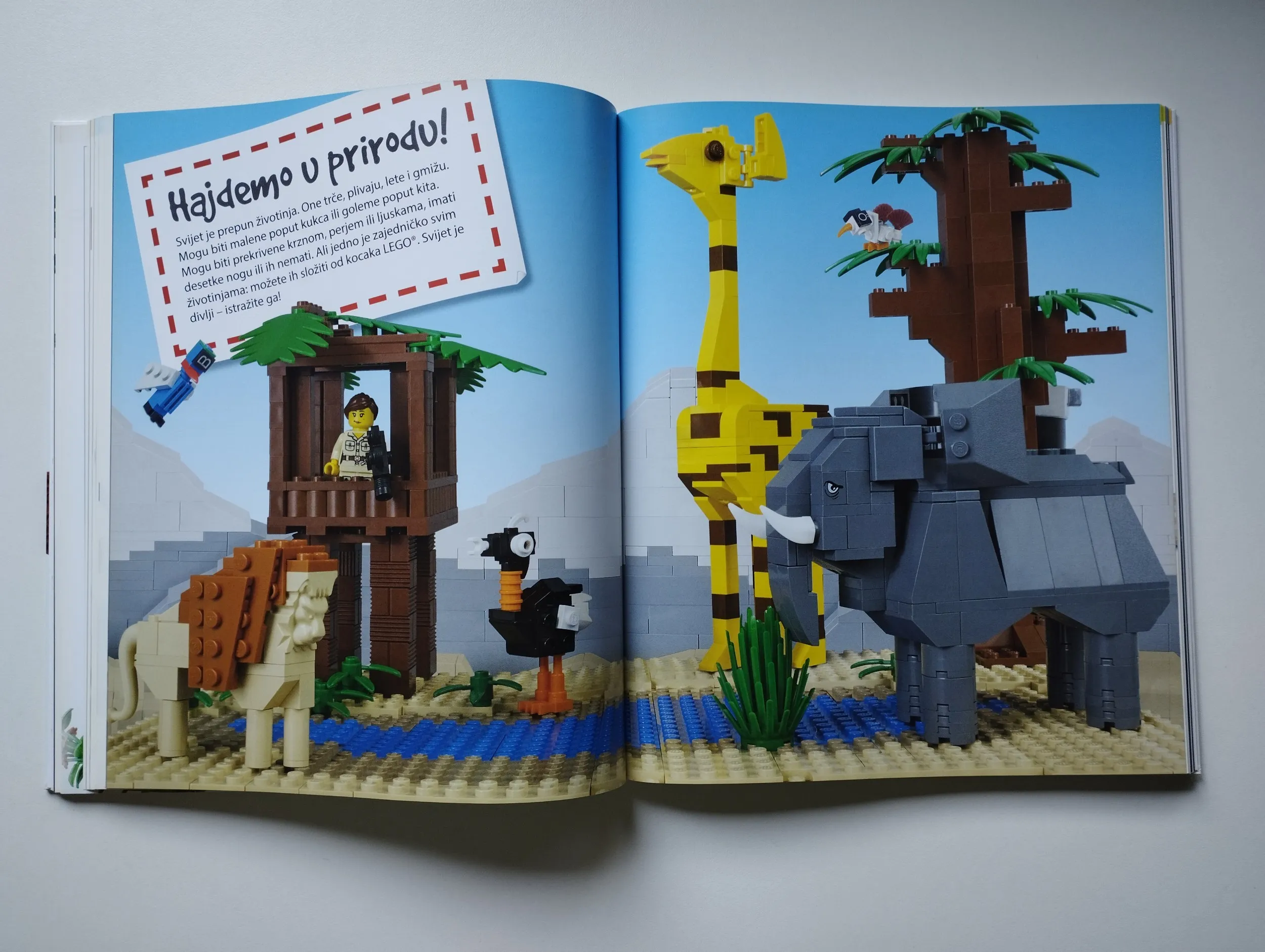 daniel lipkowitz - igraonica kocaka lego - slika 13
