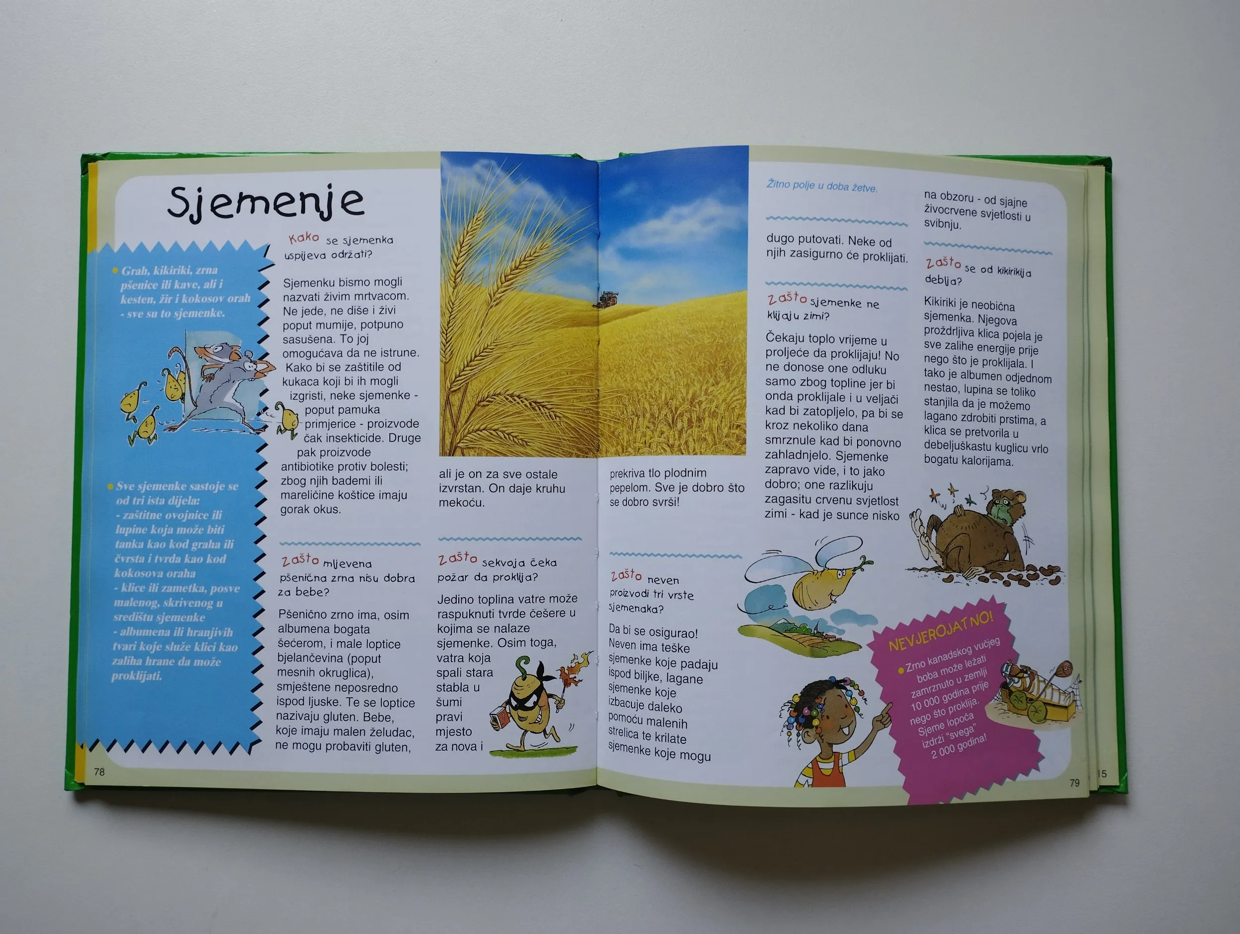 odgovori na dječja pitanja - priroda, more, svemir - slika 14