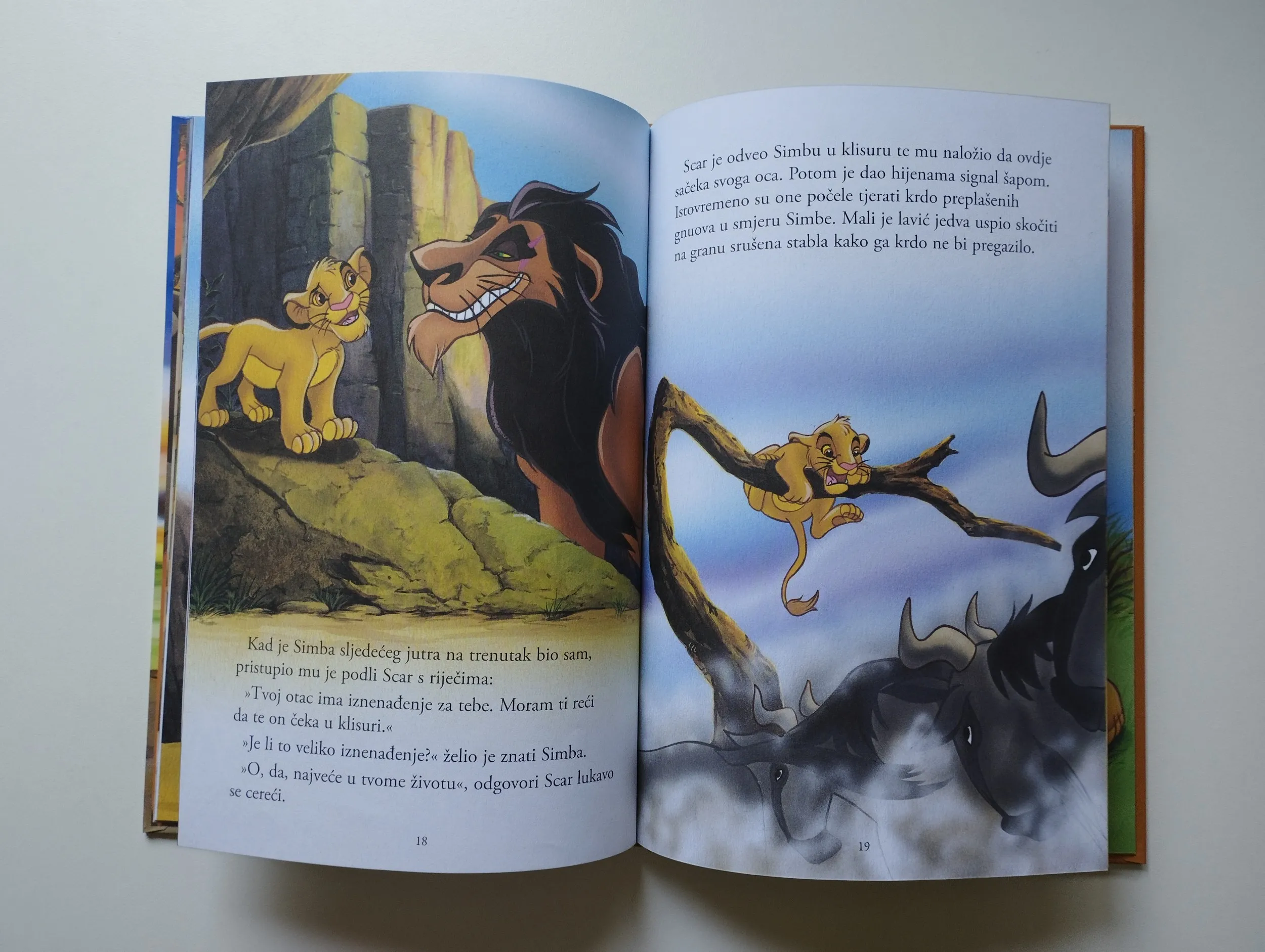 disney - kralj lavova - slika 8