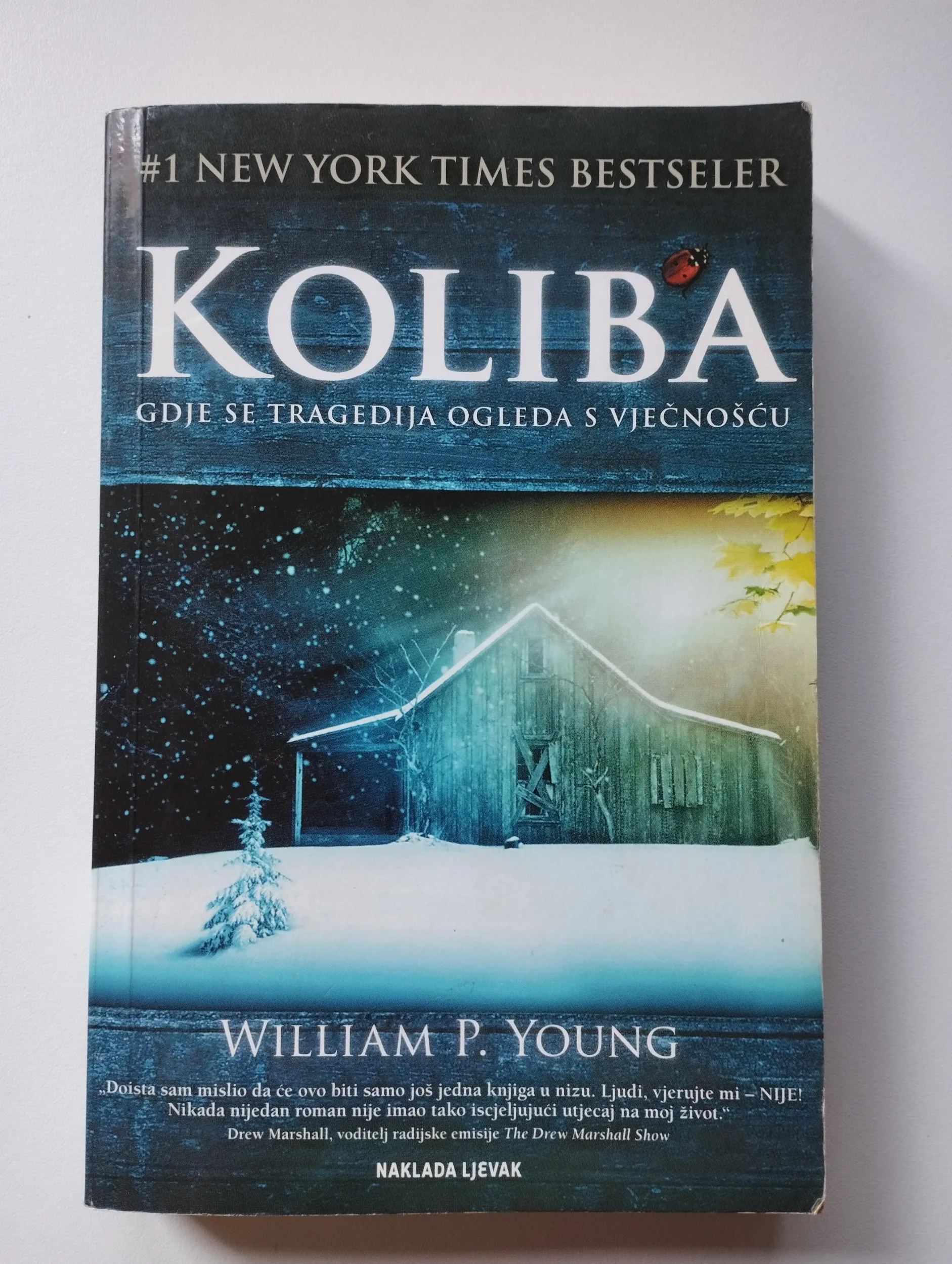 william p. young - koliba - slika 1