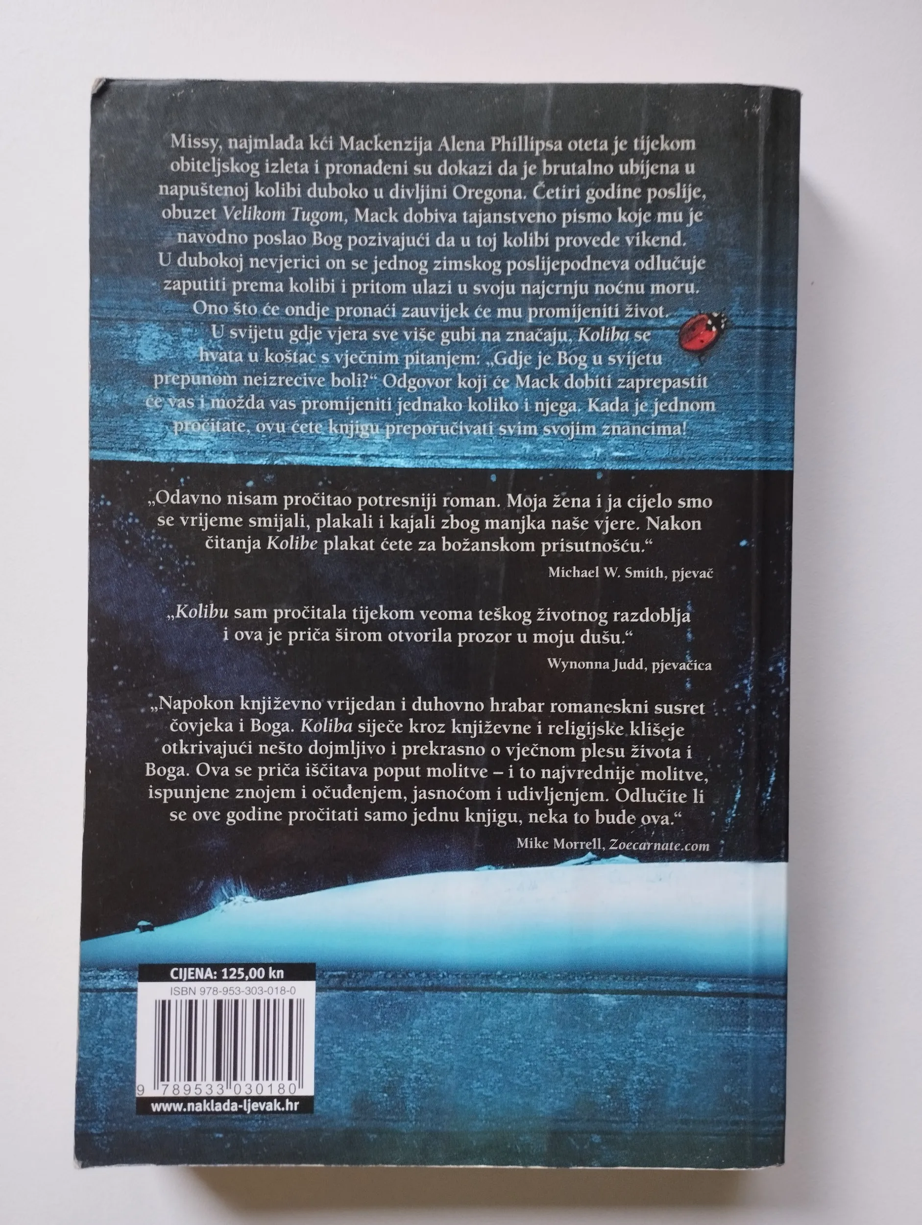 william p. young - koliba - slika 2