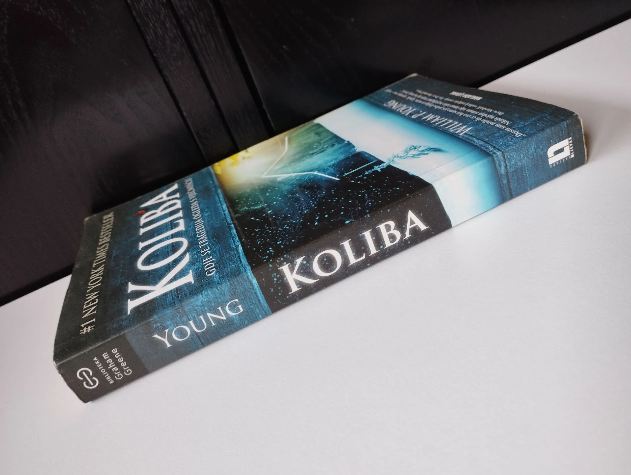 william p. young - koliba - slika 3