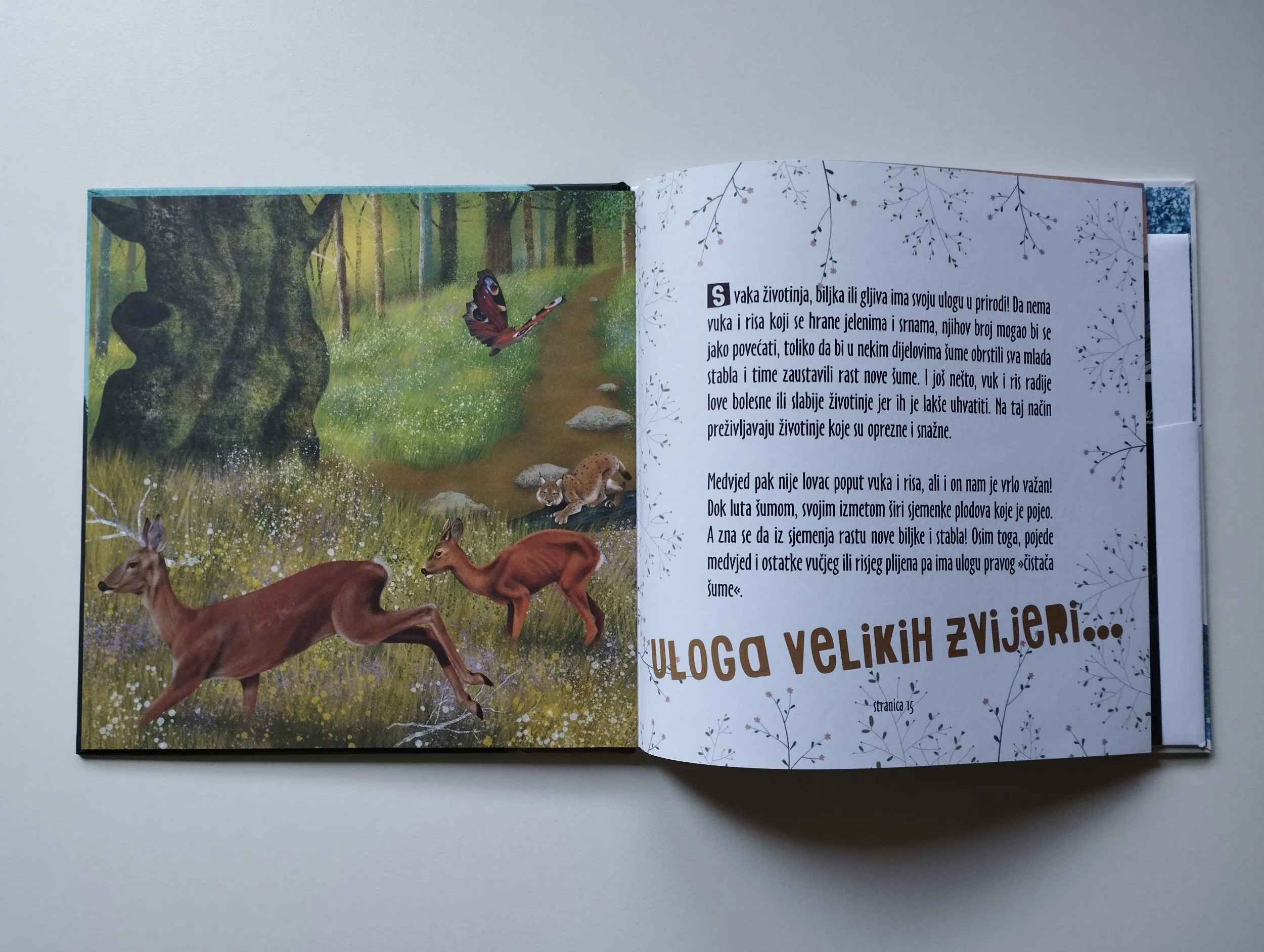 mala slikovnica o velikim zvijerima - slika 7