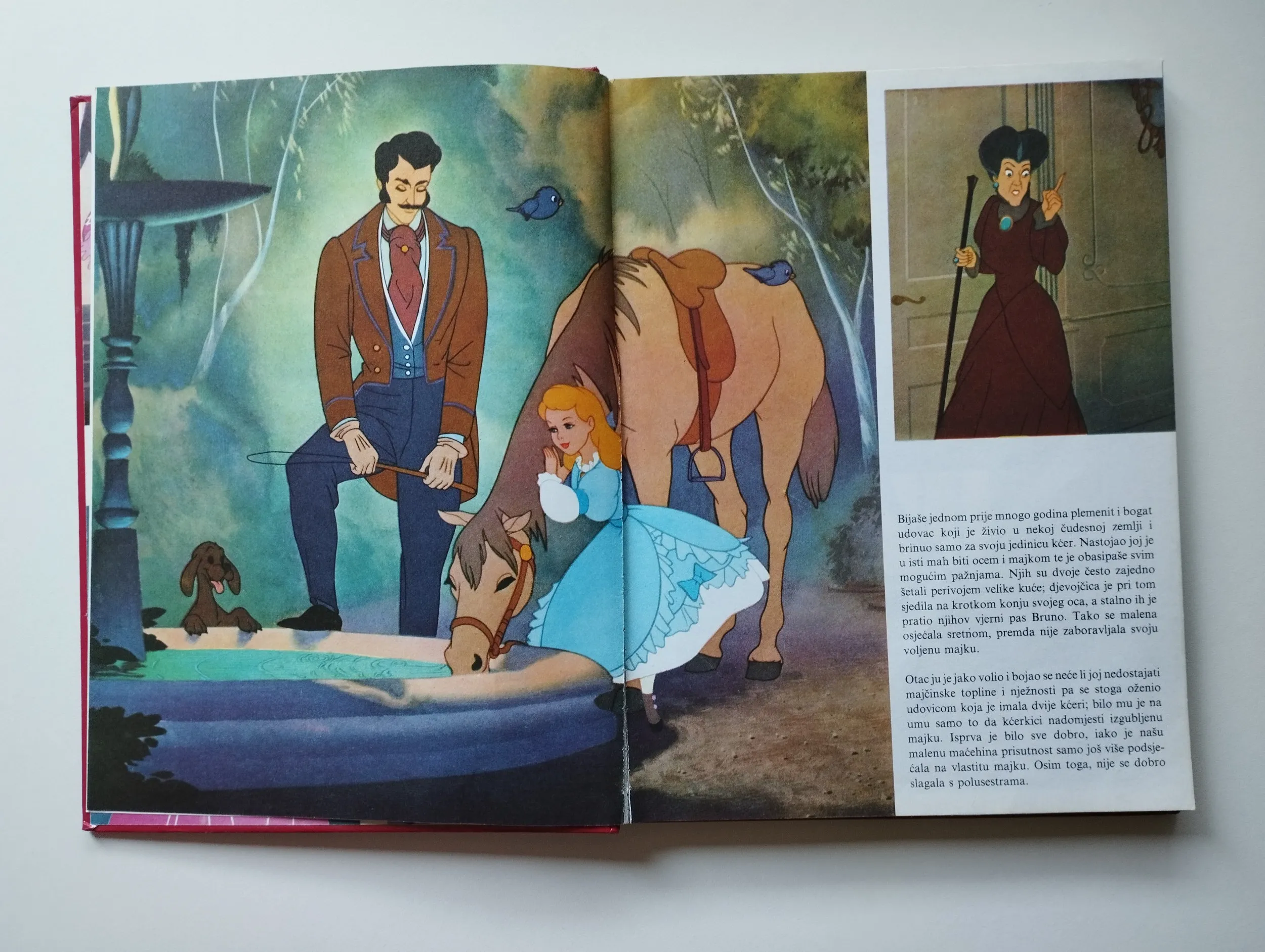 disney - pepeljuga, kuća malena, pedro - slika 8