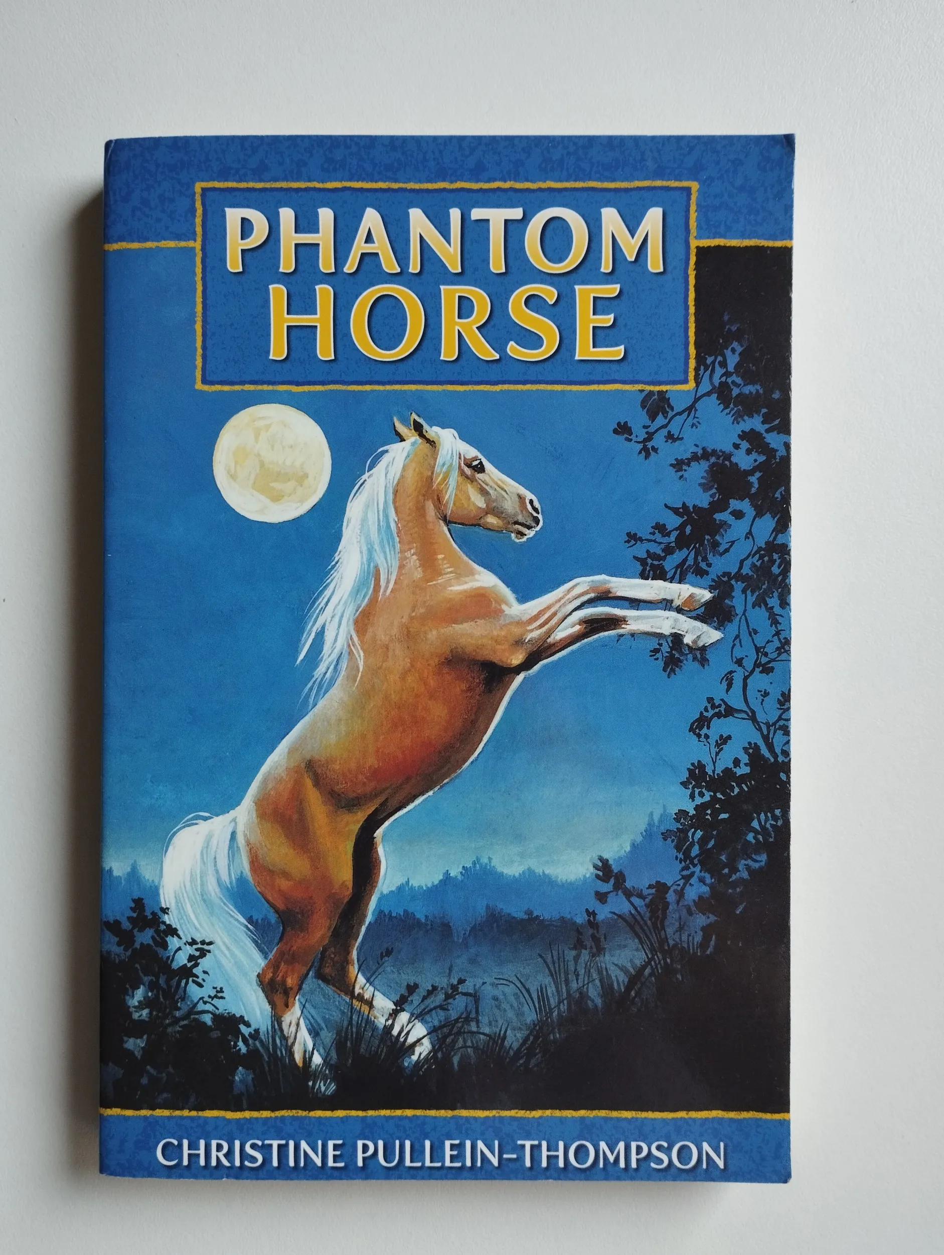 Christine Pullein Thompson - Phantom horse - Samobor