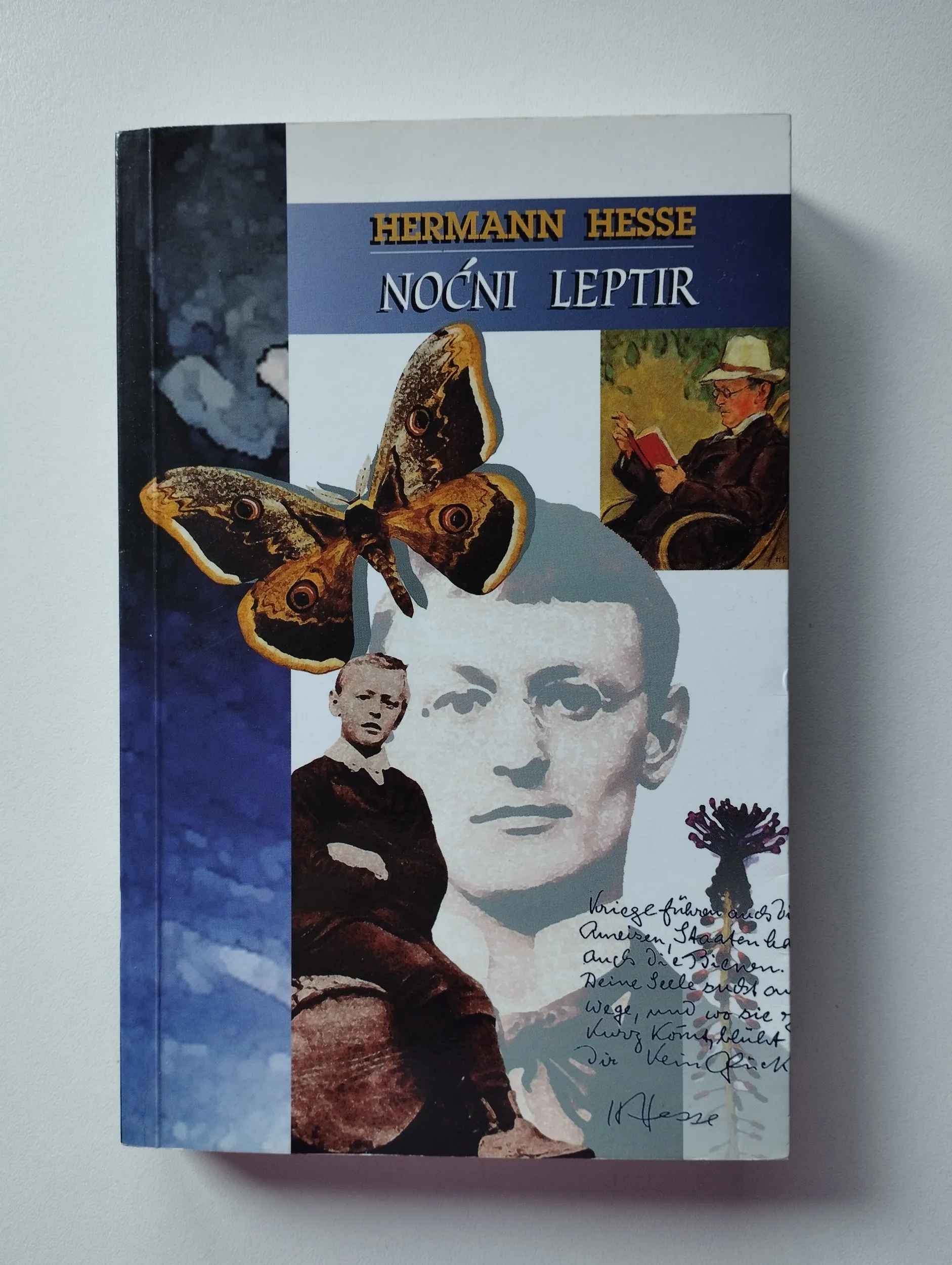 hermann hesse - noćni leptir - slika 1