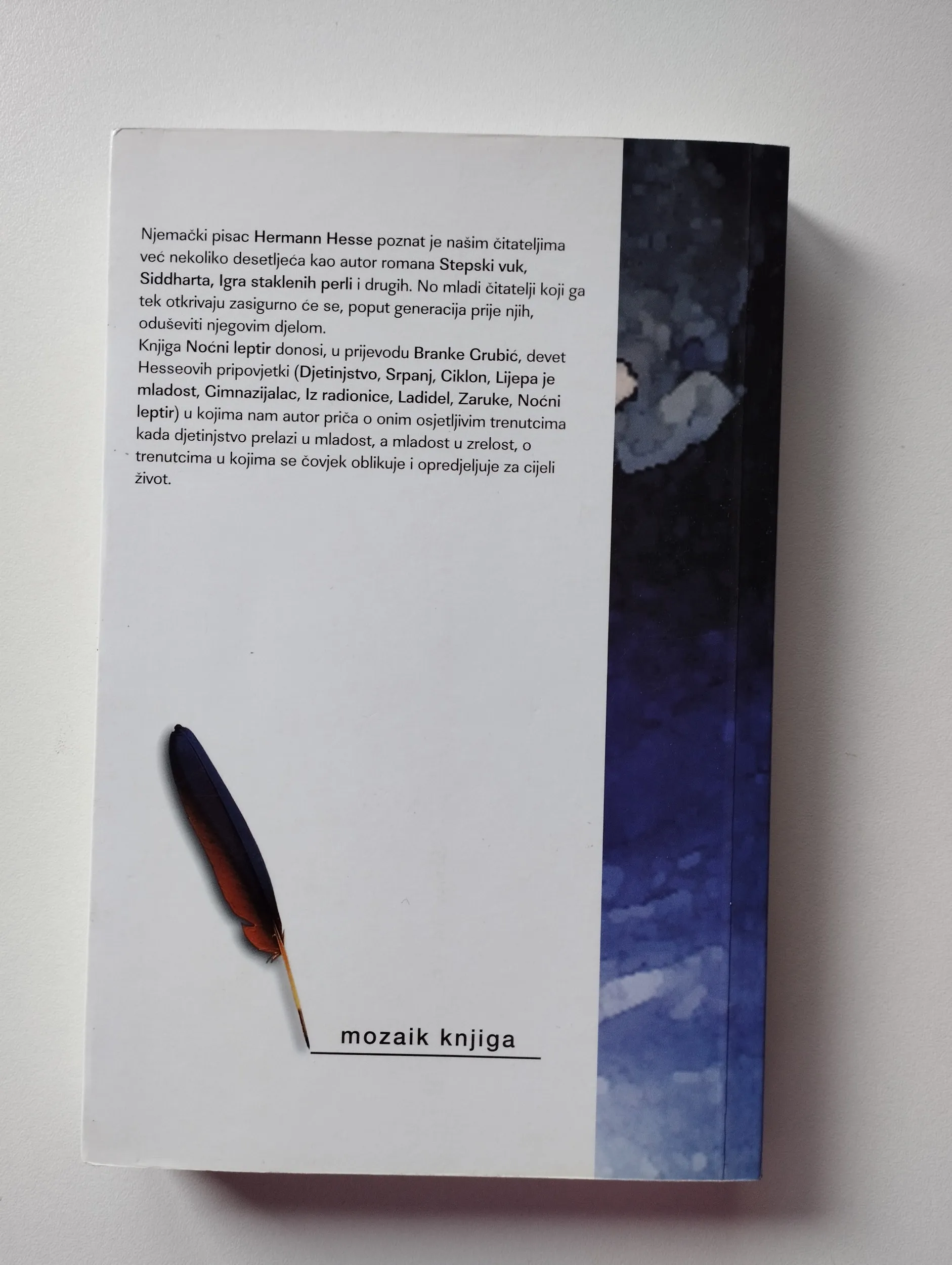 hermann hesse - noćni leptir - slika 2