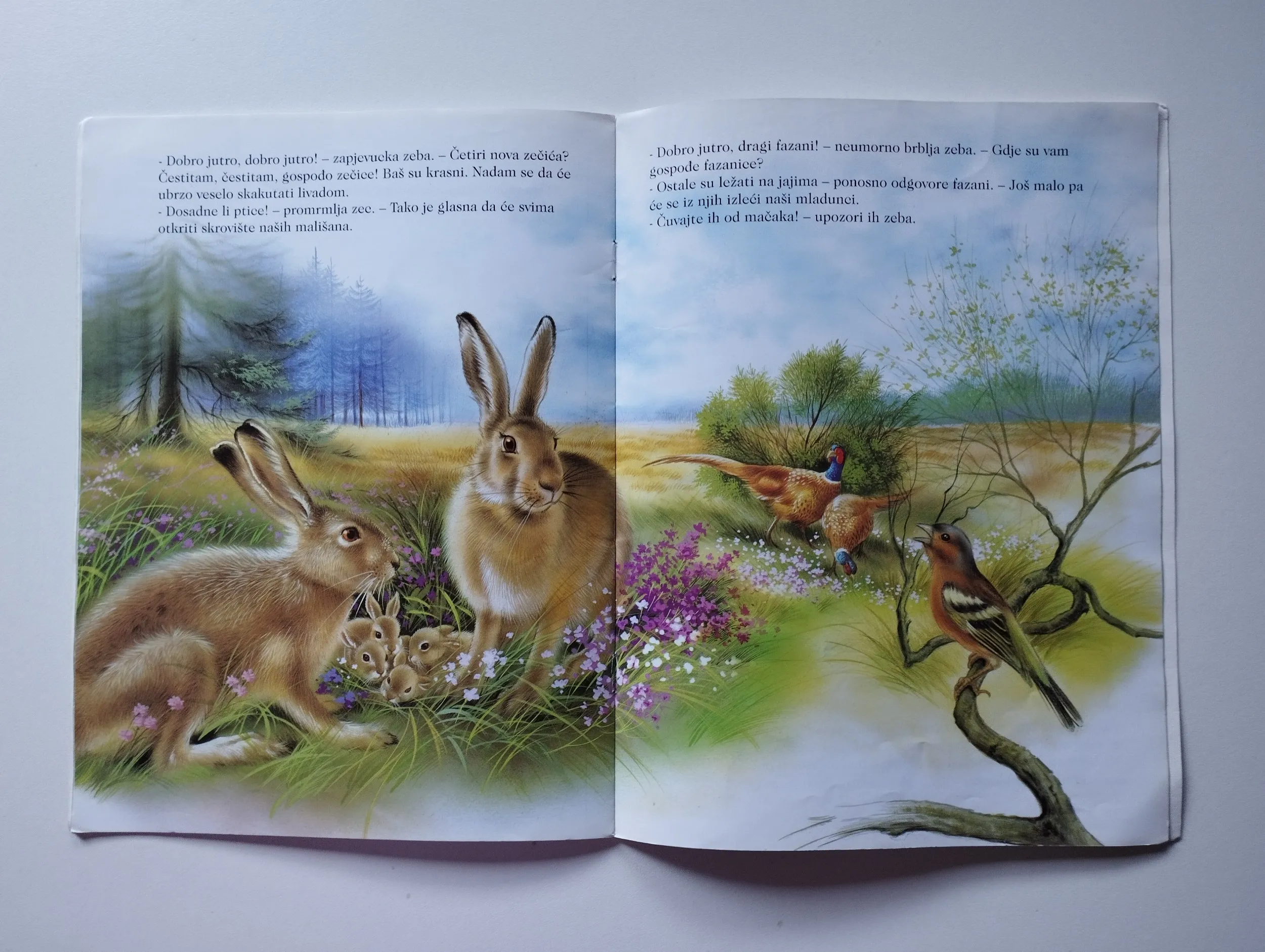 u srcu prirode - u šumi - slika 5