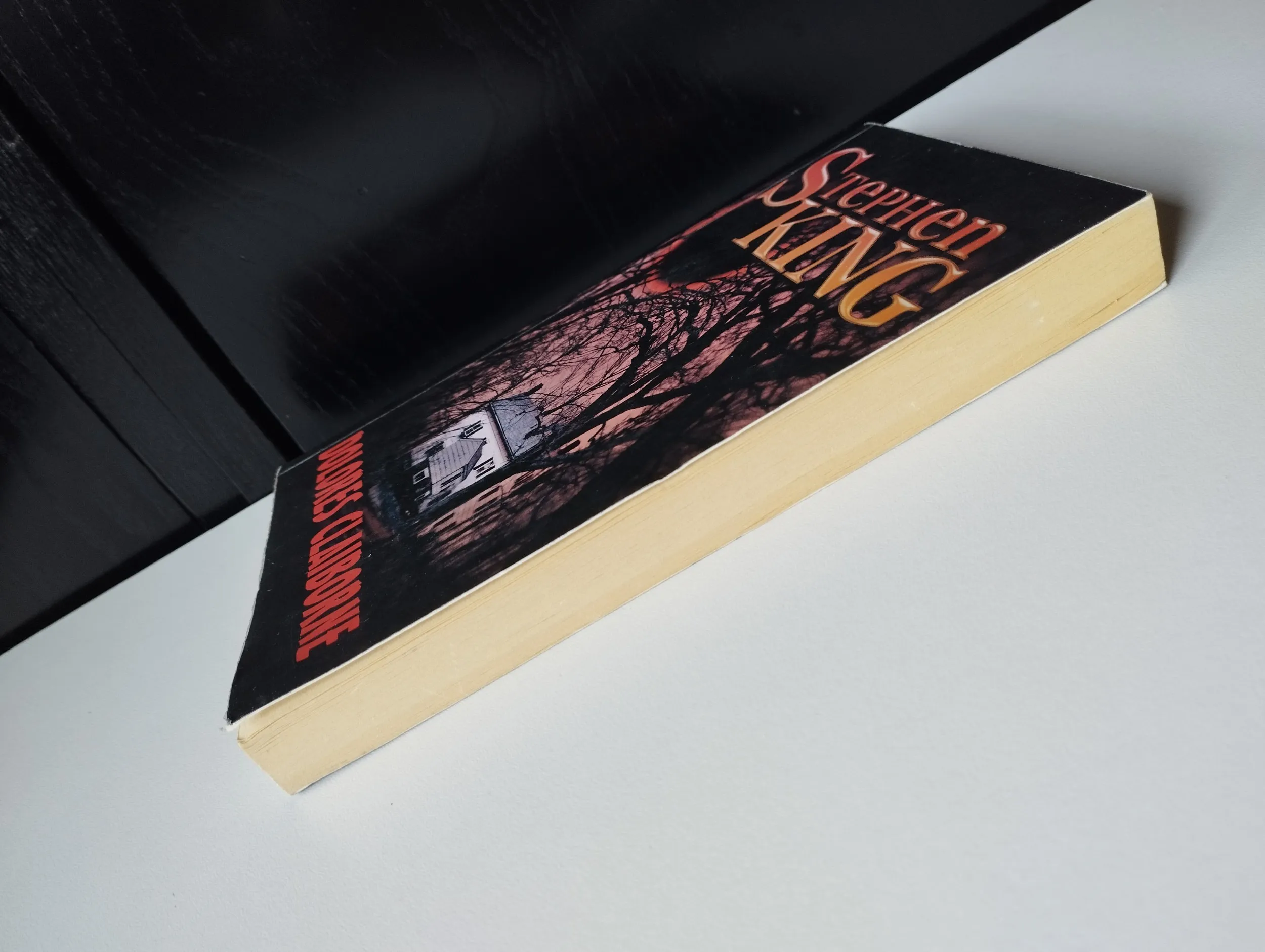 stephen king - dolores claiborne - slika 5