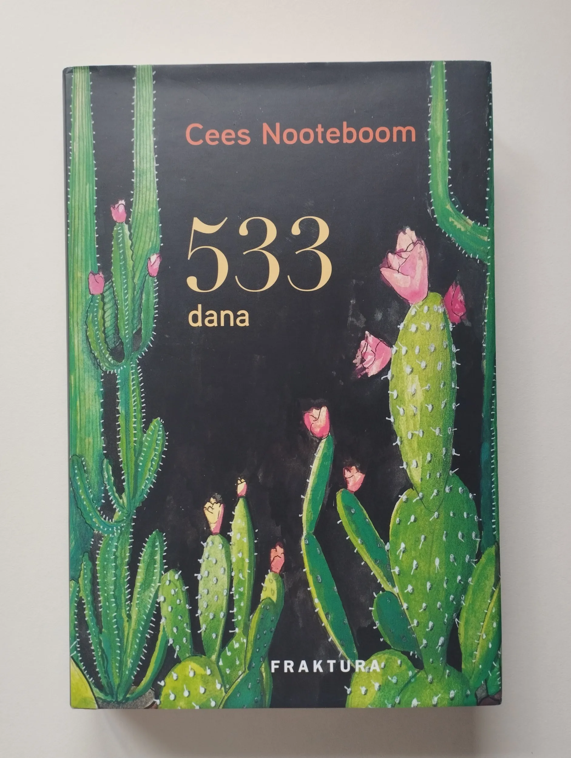 cees nooteboom - 533 dana - slika 1