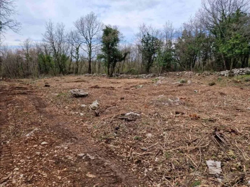 građevinsko zemljište, sveti lovreč (istra), 1350 m2,prilika! - slika 2